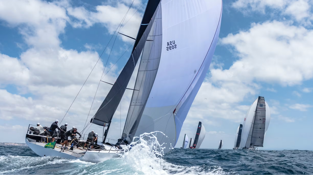 SWAN REGATTA | 2025