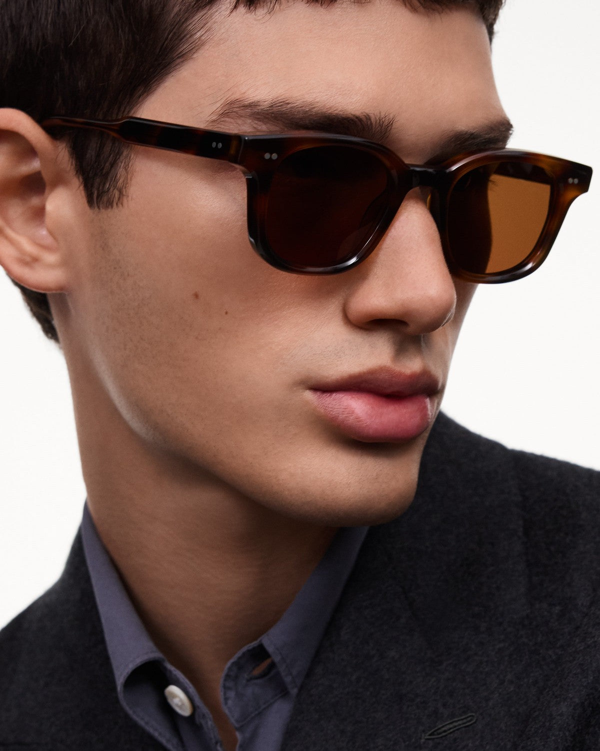 CHIMI 02 Tortoise Brown Tortoise / Brown