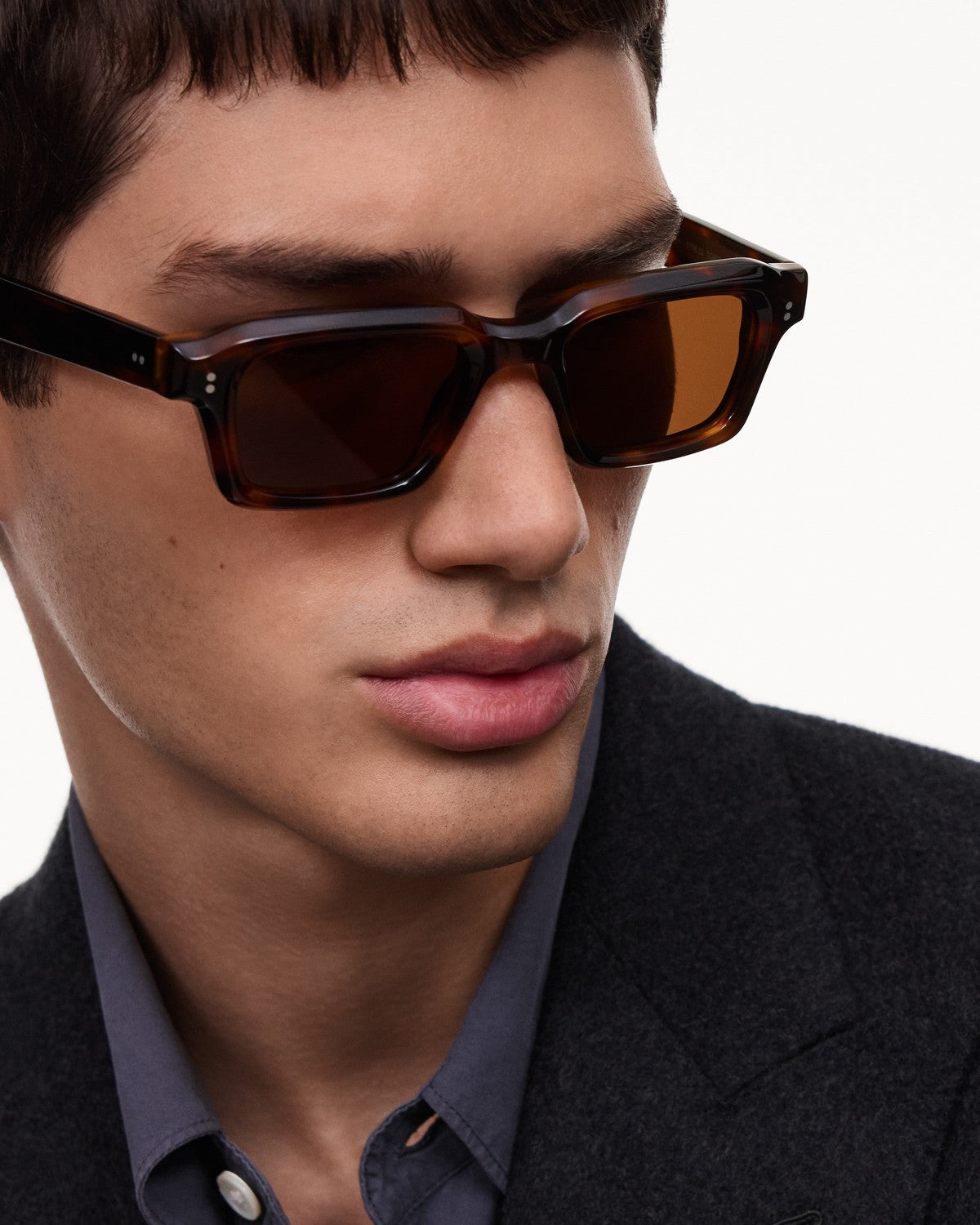 CHIMI 03 Tortoise Brown Tortoise / Brown