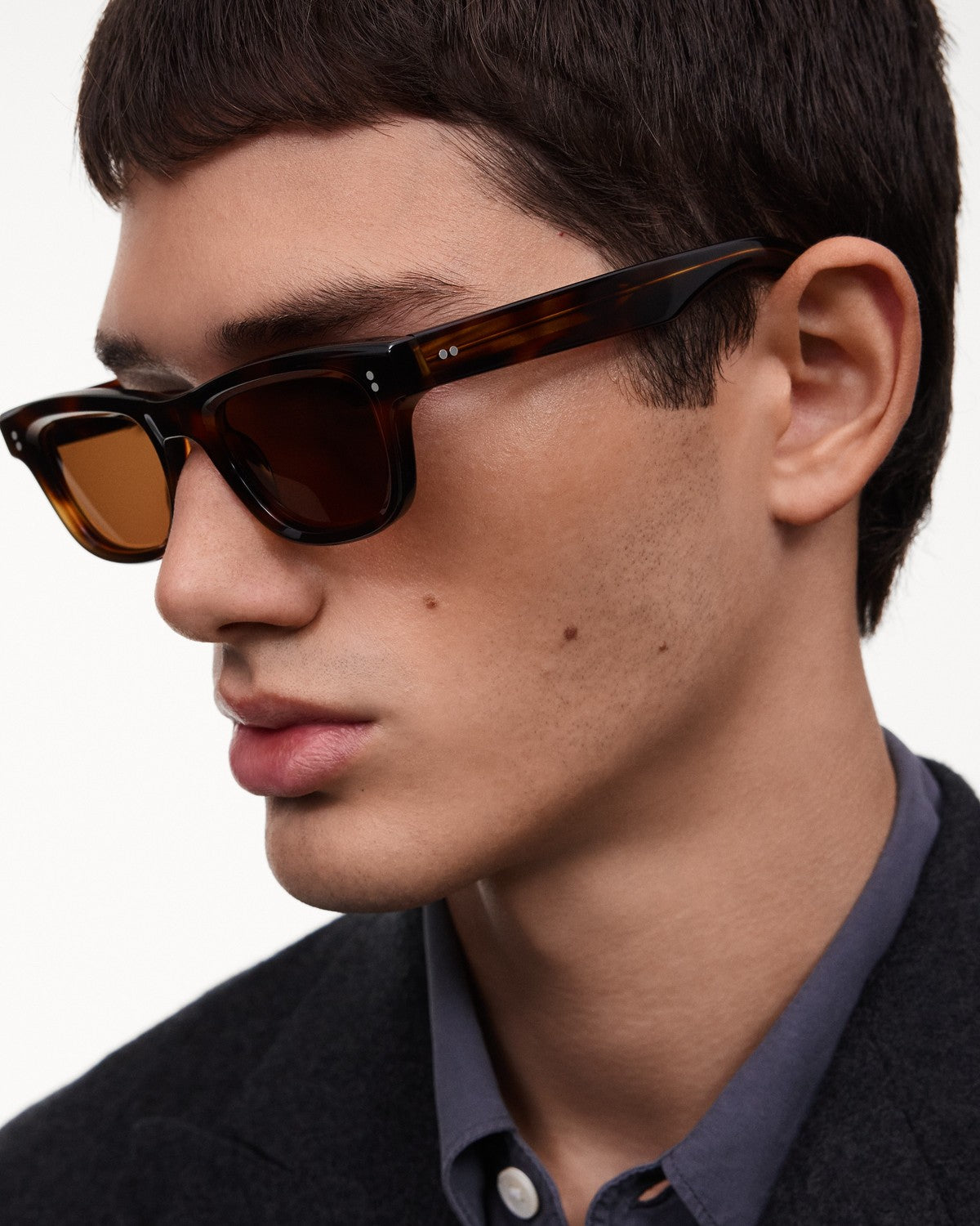 CHIMI 08 Tortoise Brown Tortoise / Brown