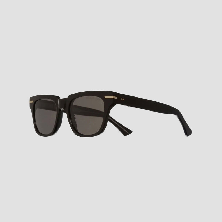 1355 D-Frame Sunglasses