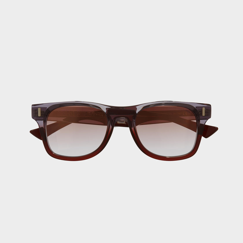 1339 D-Frame Sunglasses