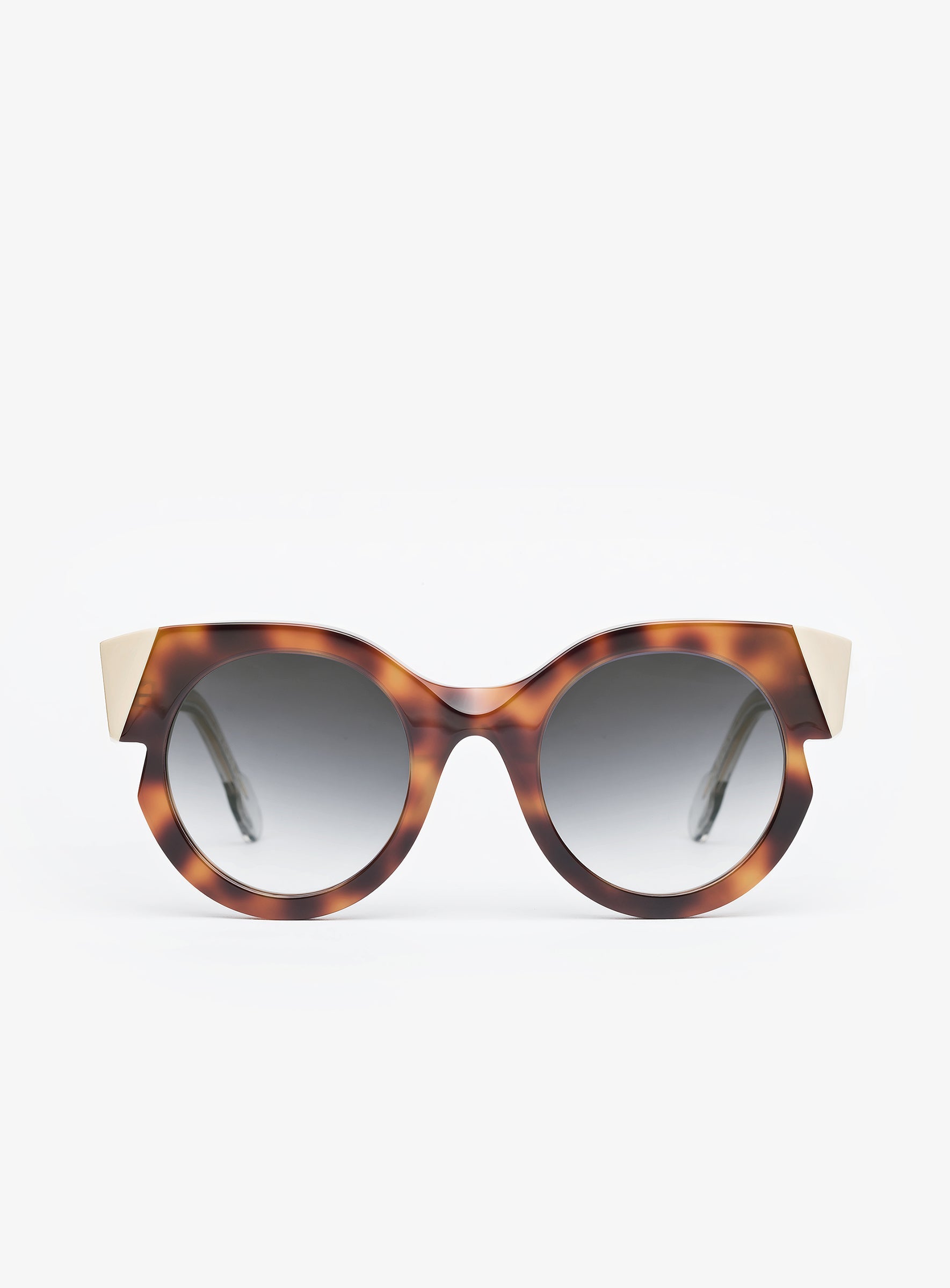 DAS MODEL Tortoise Limited Edition