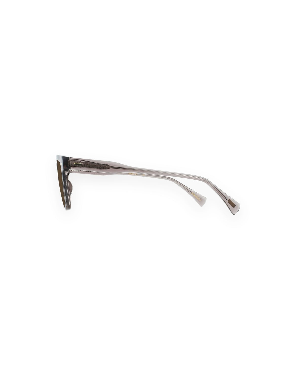 RAEN Adin 54 Sebring Vibrant Brown Polarized Sebring / Vibrant Brown Polarized