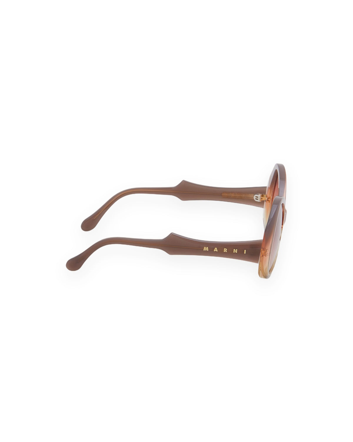 Overhead view of MARNI Anu Rosa sunglasses showing temple branding.