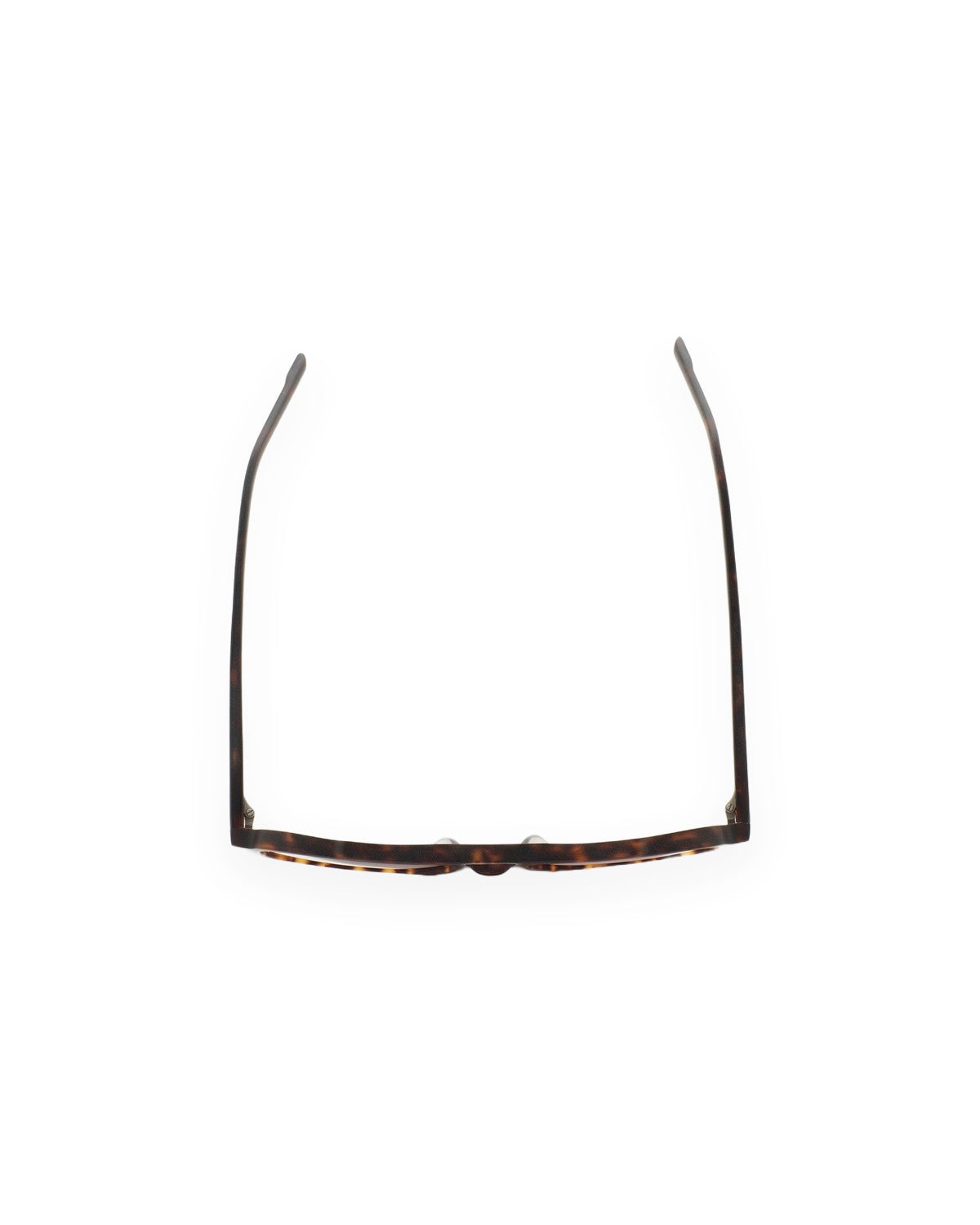 KALEOS Cervantes Dark Havana Matte Grey Gradient Dark Havana Matte / Grey Gradient