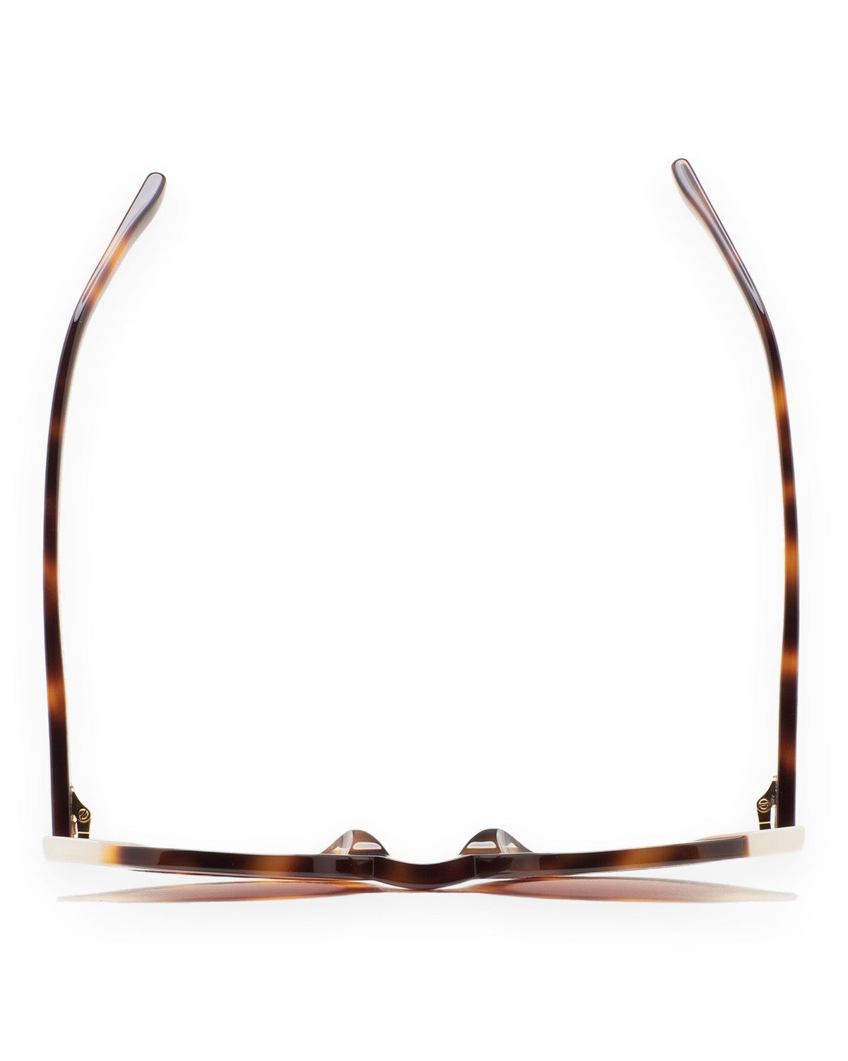 KALEOS Clark Havana Brown Gradient Havana / Brown Gradient