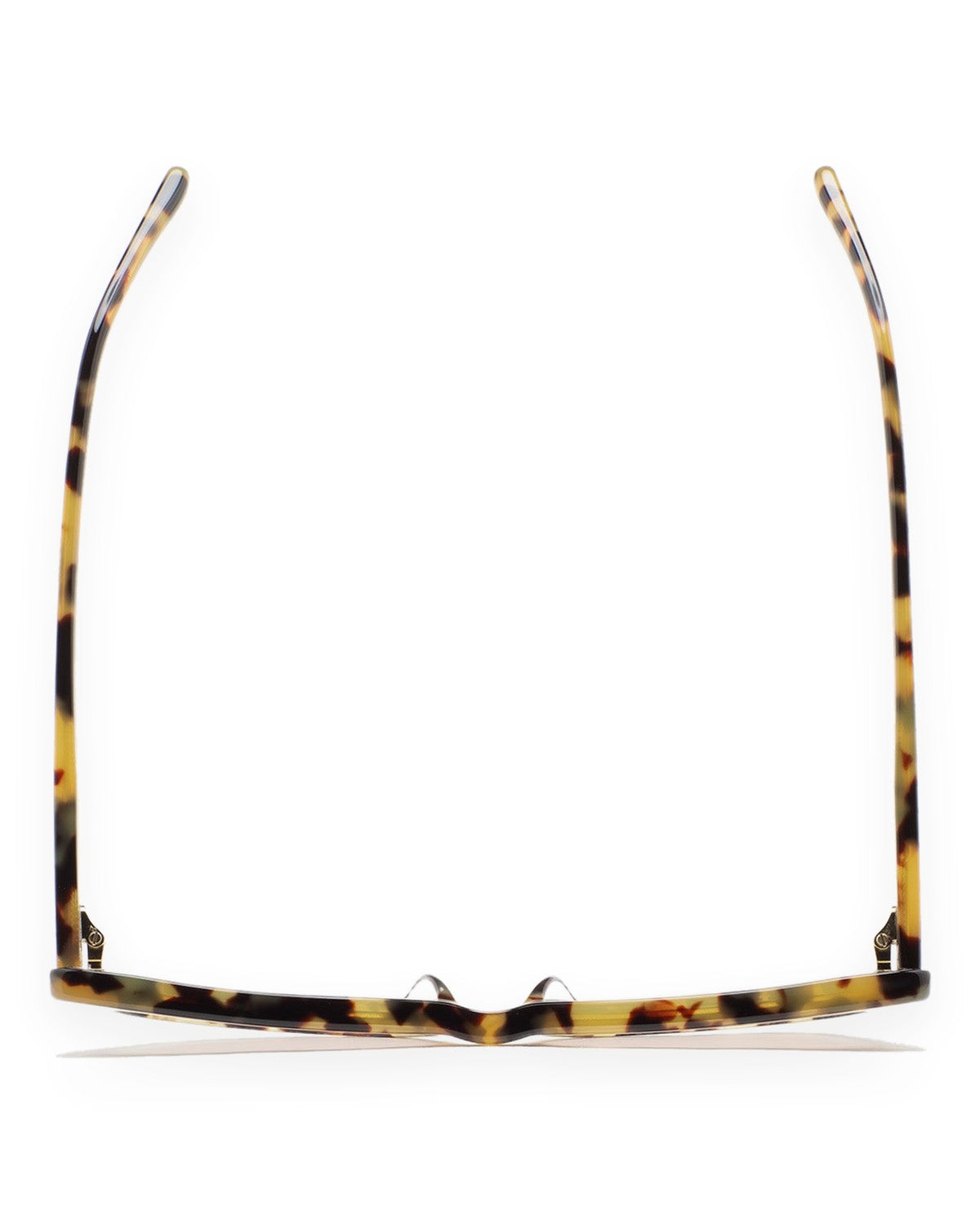 KALEOS Cobb Spotted Havana Brown Photochromic Spotted Havana / Brown Photochromic