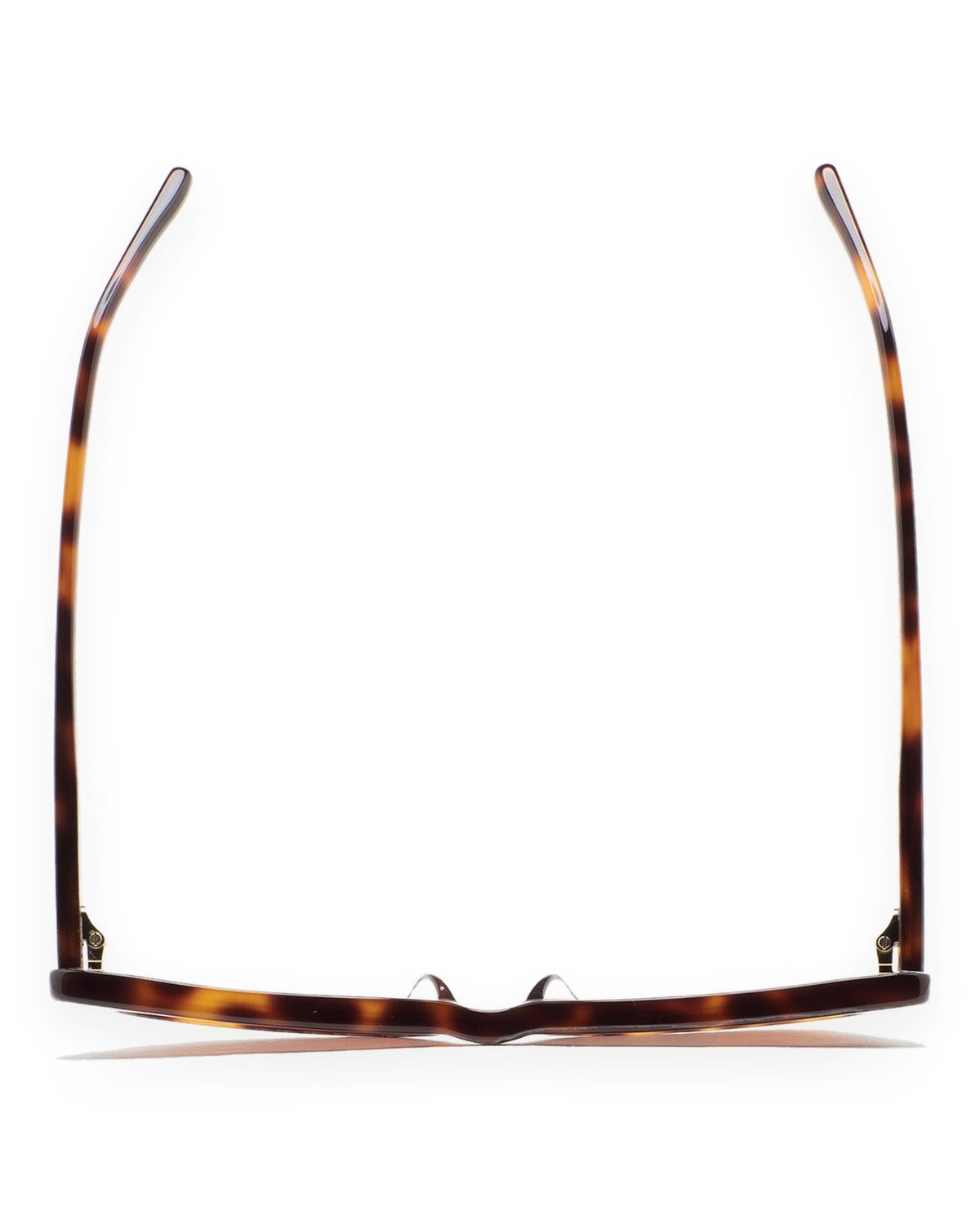 KALEOS Cobb Havana Brown Havana / Brown