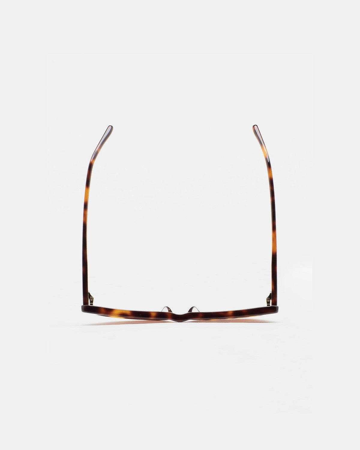 KALEOS Cobb Havana Brown Havana / Brown
