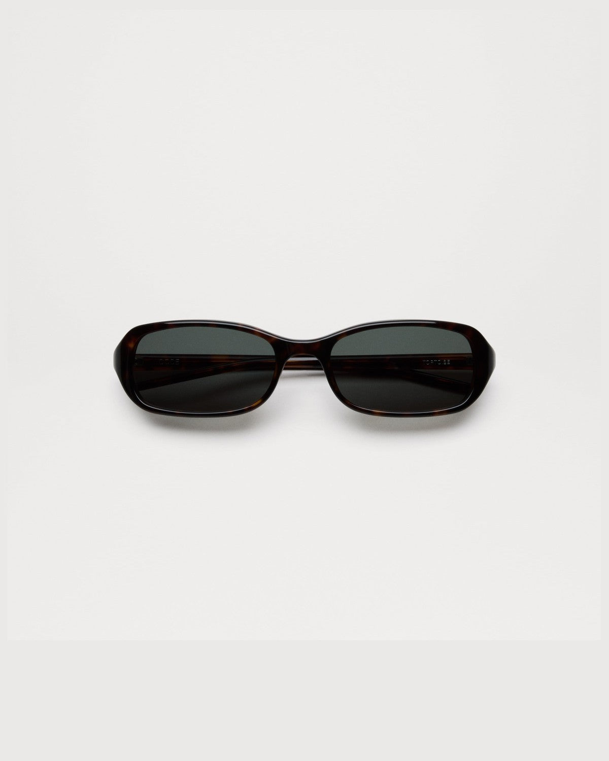 CHIMI Code Tortoise Brown Tortoise / Brown