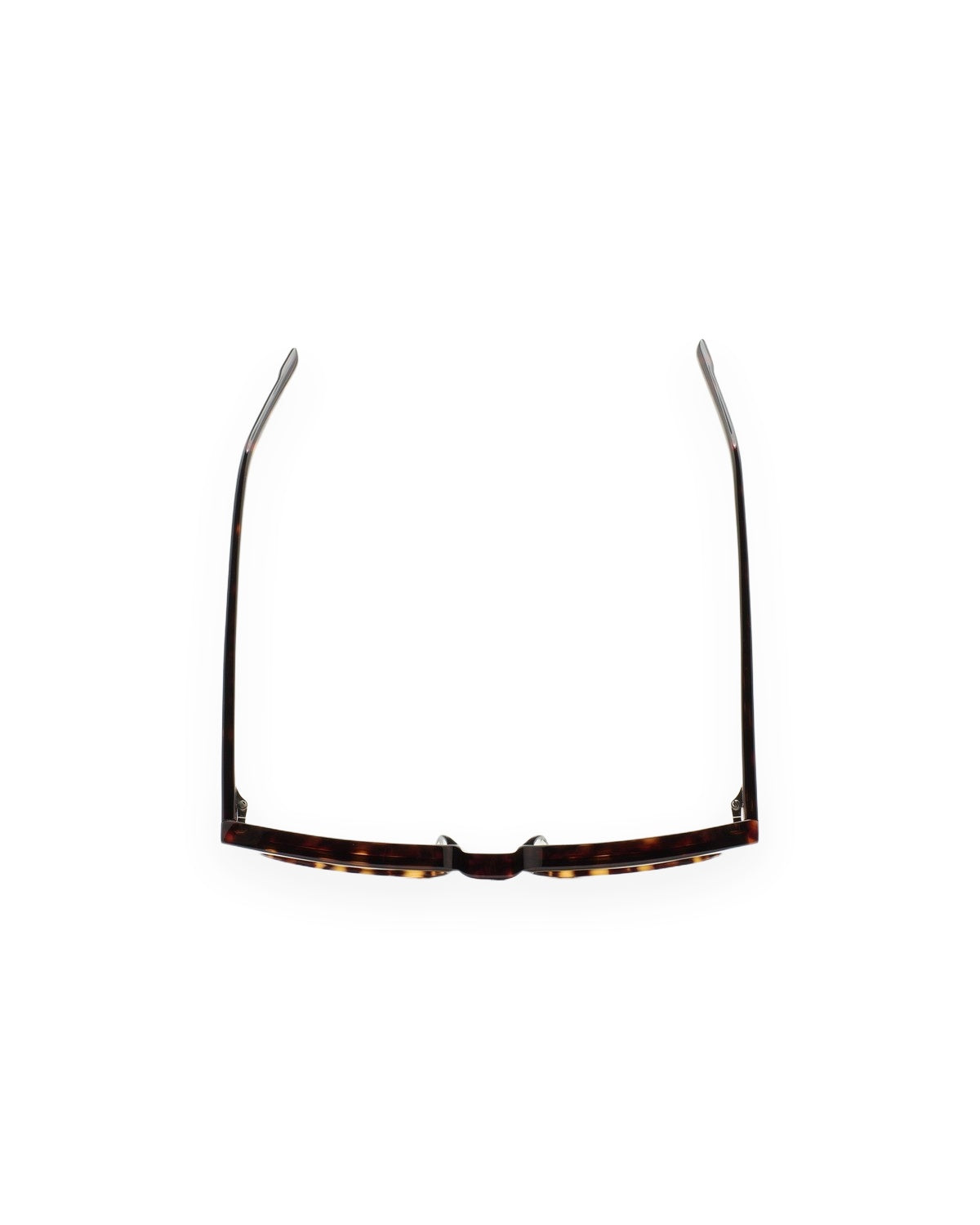 KALEOS Delgado Dark Havana Brown Dark Havana / Brown