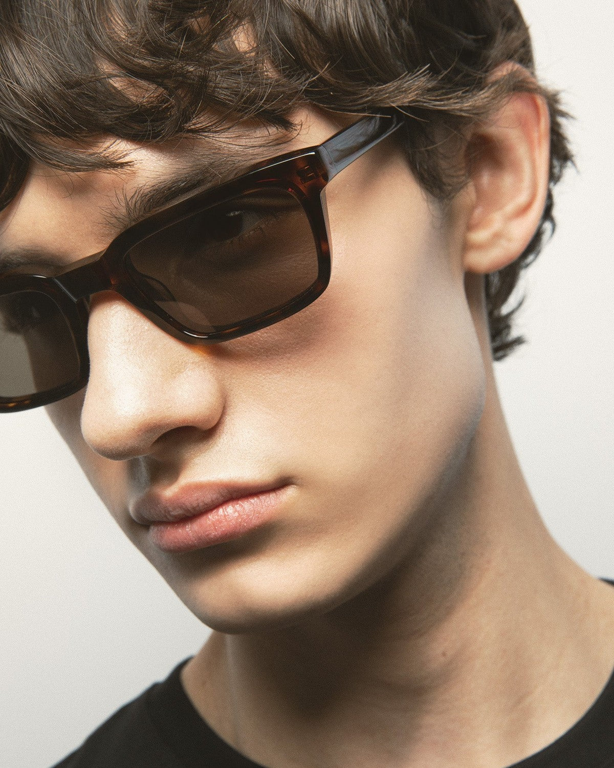 KALEOS Delgado Dark Havana Brown Dark Havana / Brown