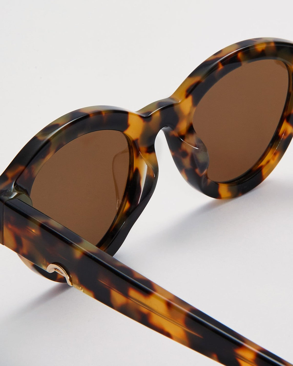 HUMA Dug . Maculate Glossy Havana Maculate / Brown
