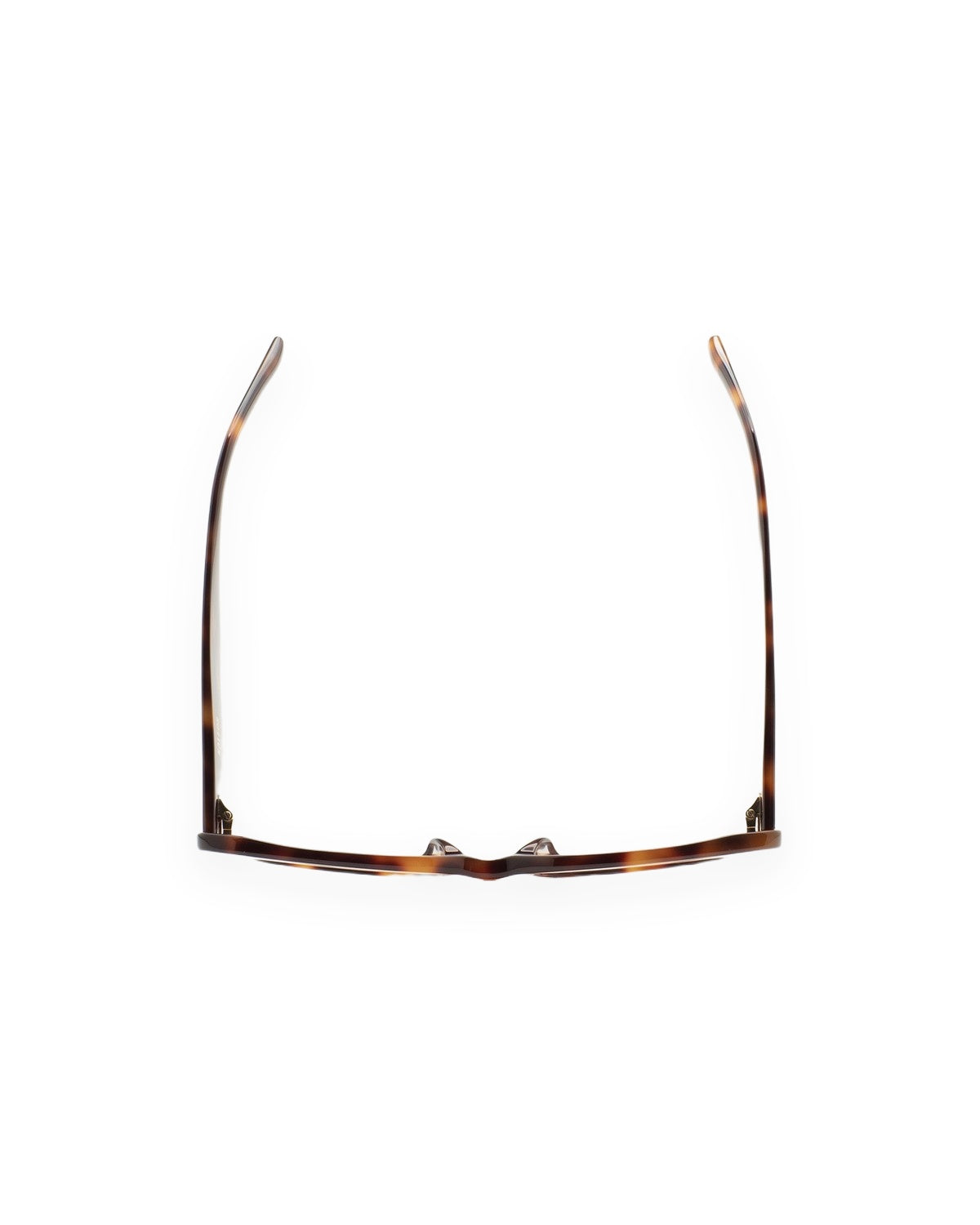 KALEOS Eluard Havana Photochromic Pink Havana / Photochromic Pink