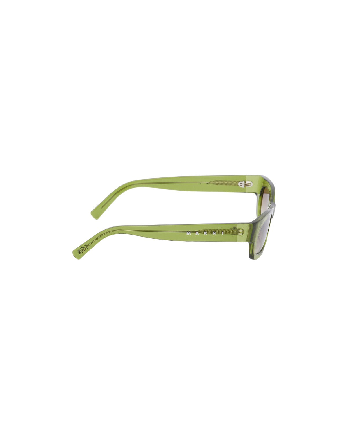 Marni Haicli Transparent Green Transparent Green / Green