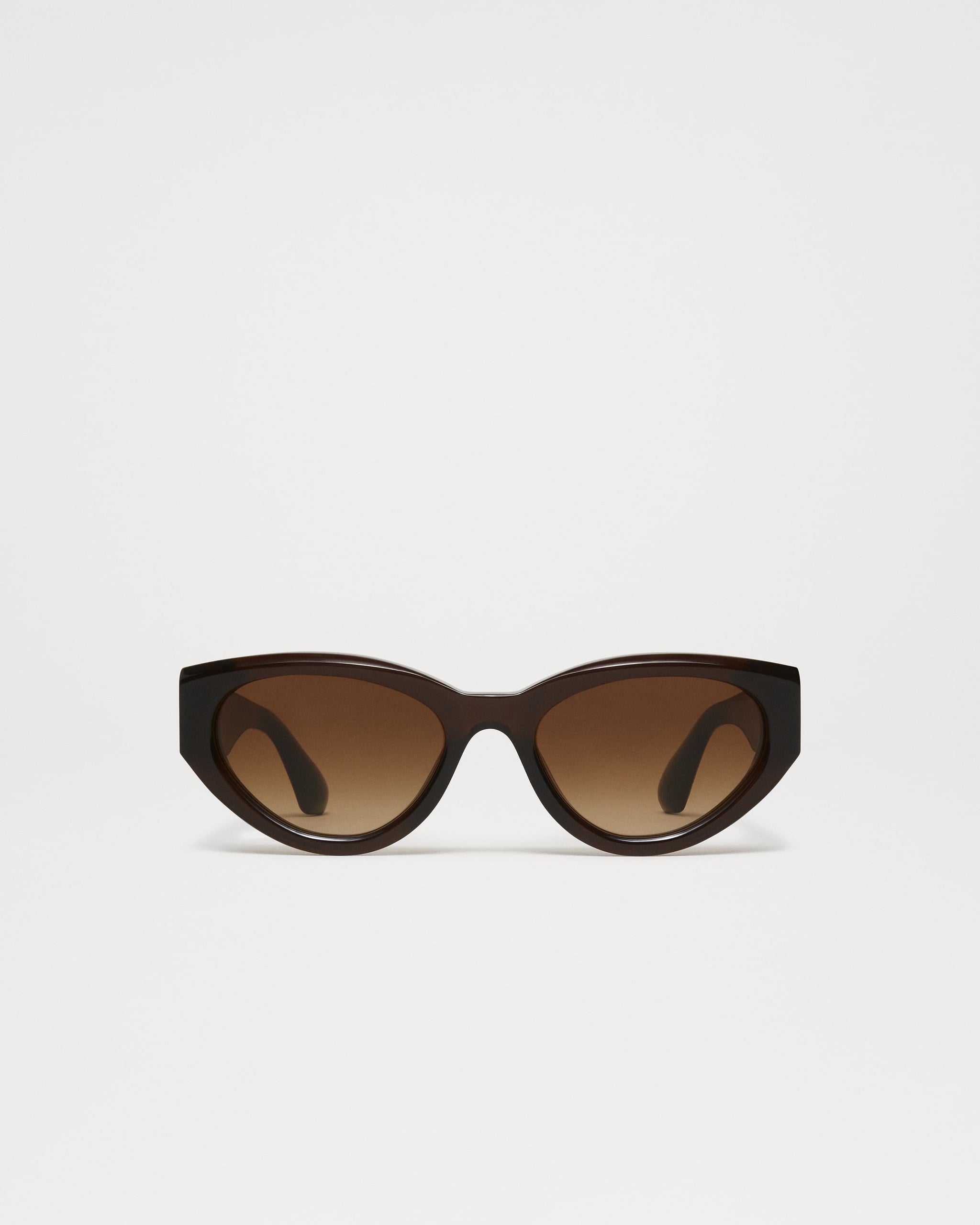 CHIMI 06 Brown Brown Brown / Brown