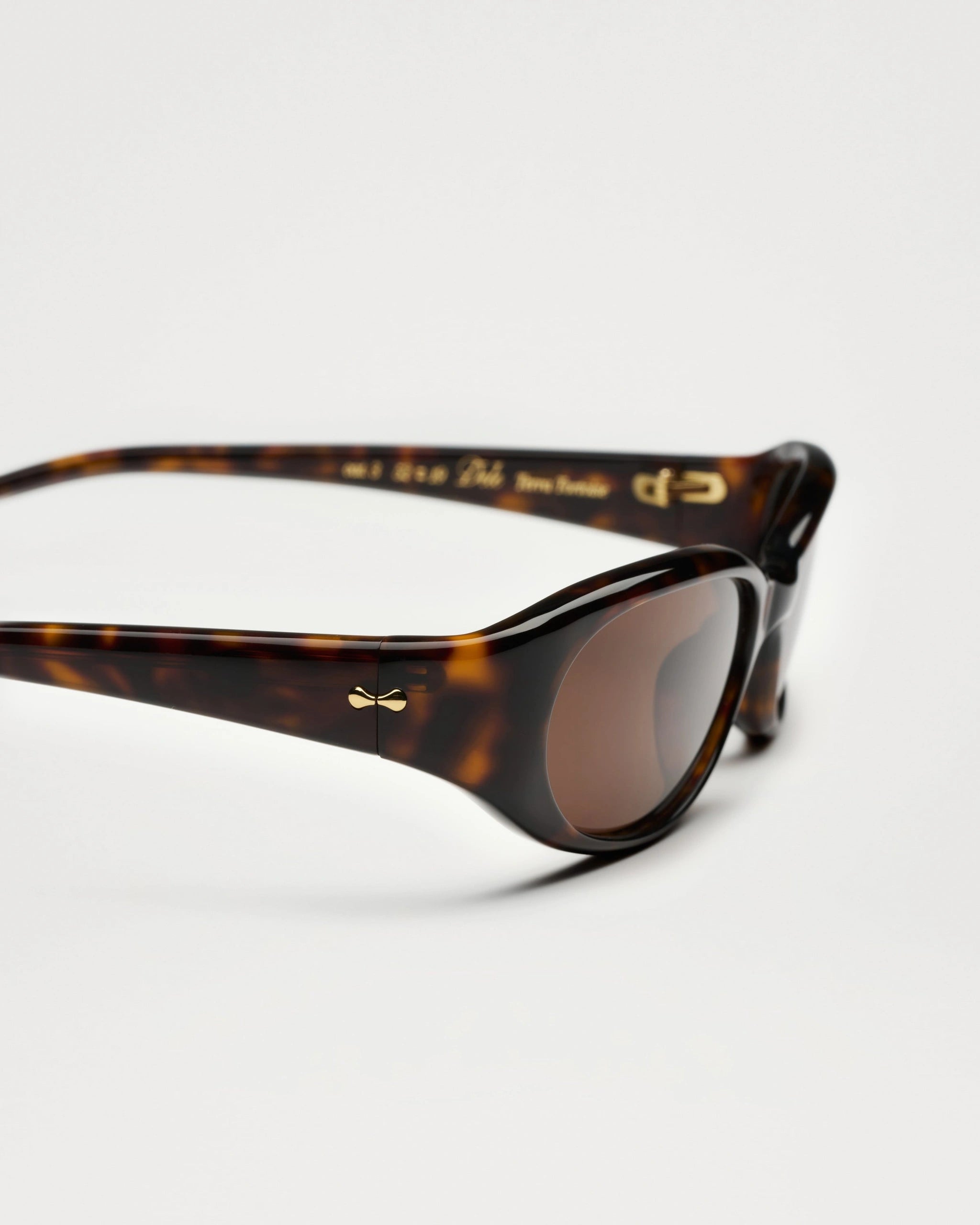 CHIMI Dele Terra Tortoise Brown Terra Tortoise / Brown