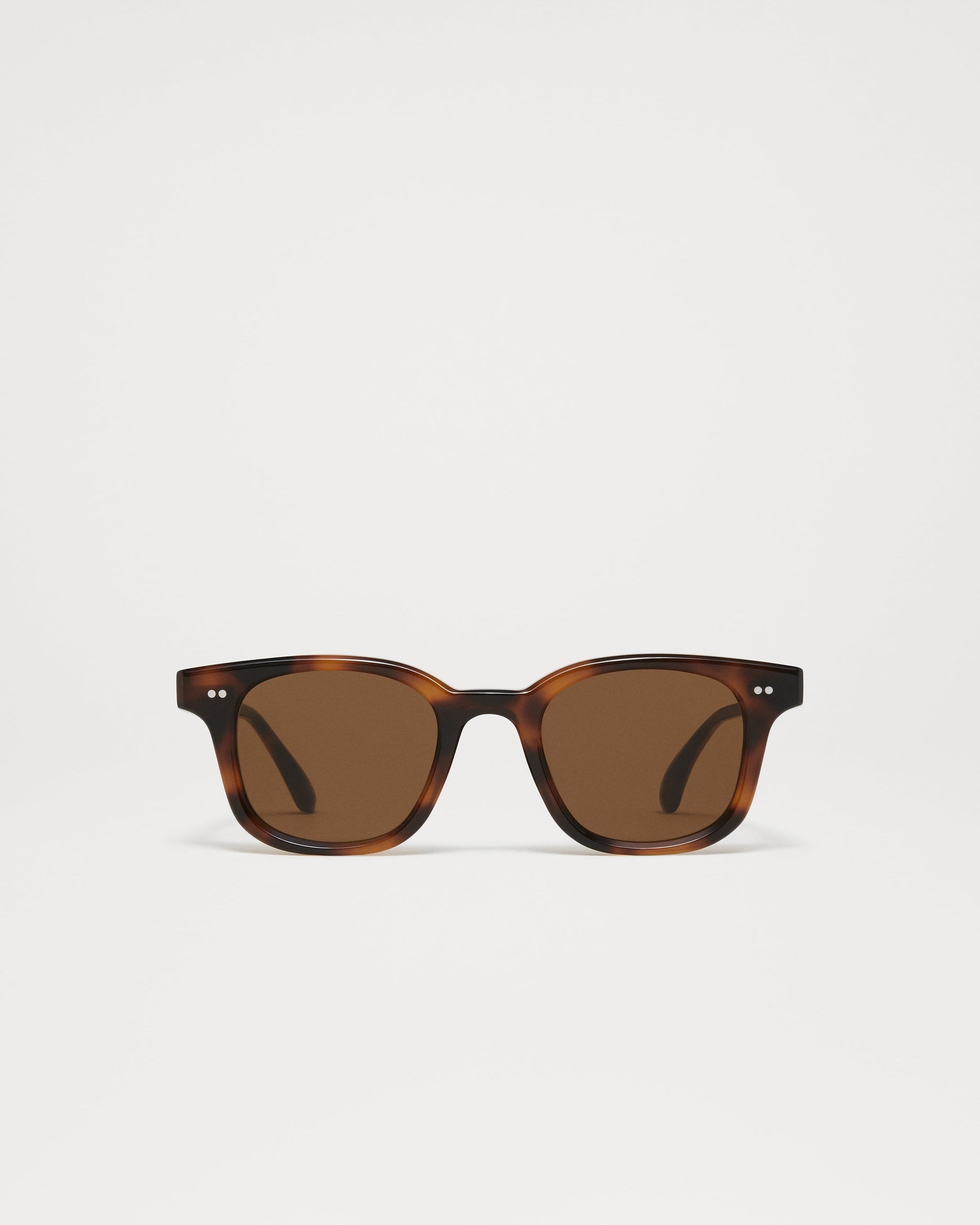 CHIMI 02 Tortoise Brown Tortoise / Brown