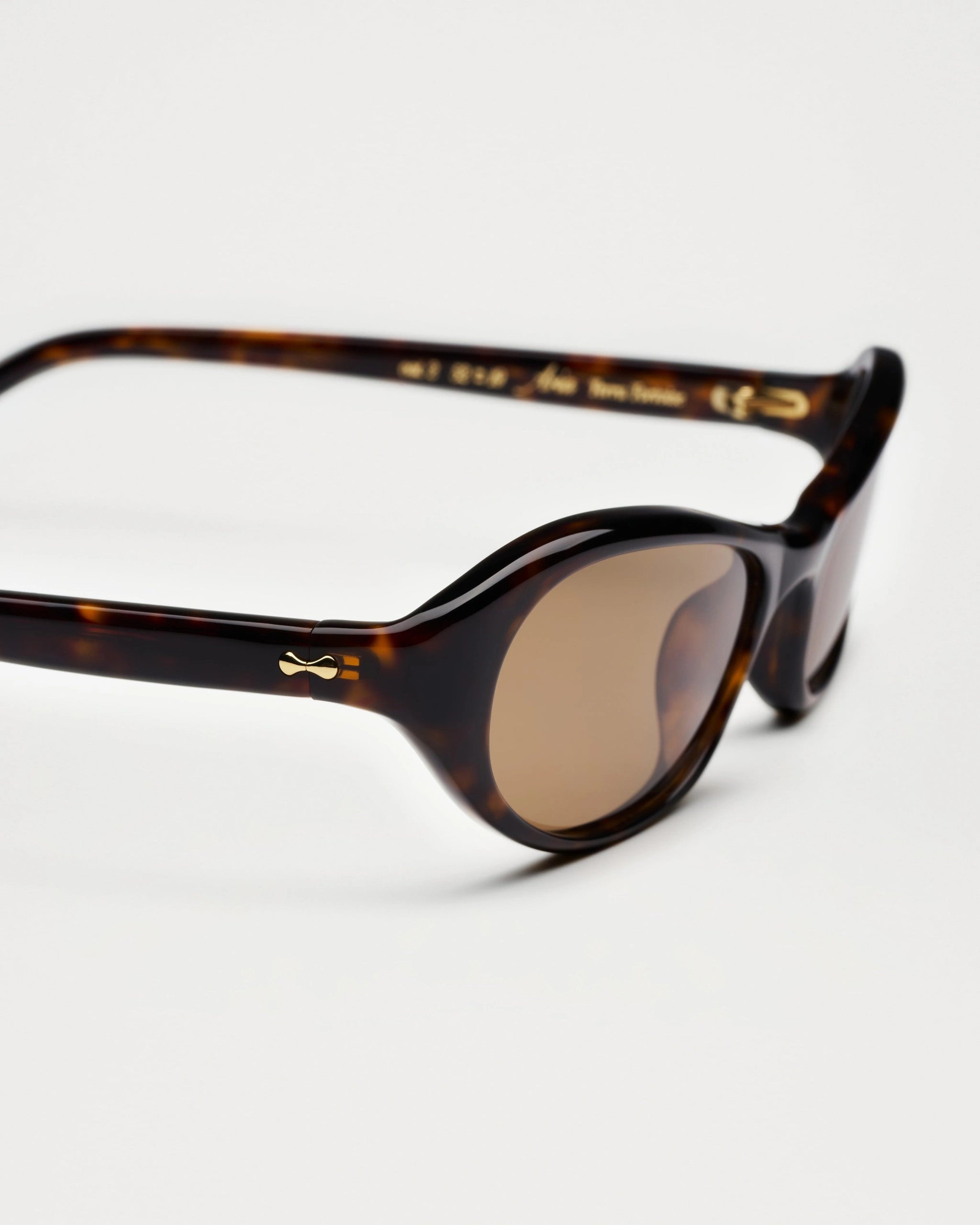 CHIMI Aria Terra Tortoise Brown Terra Tortoise / Brown