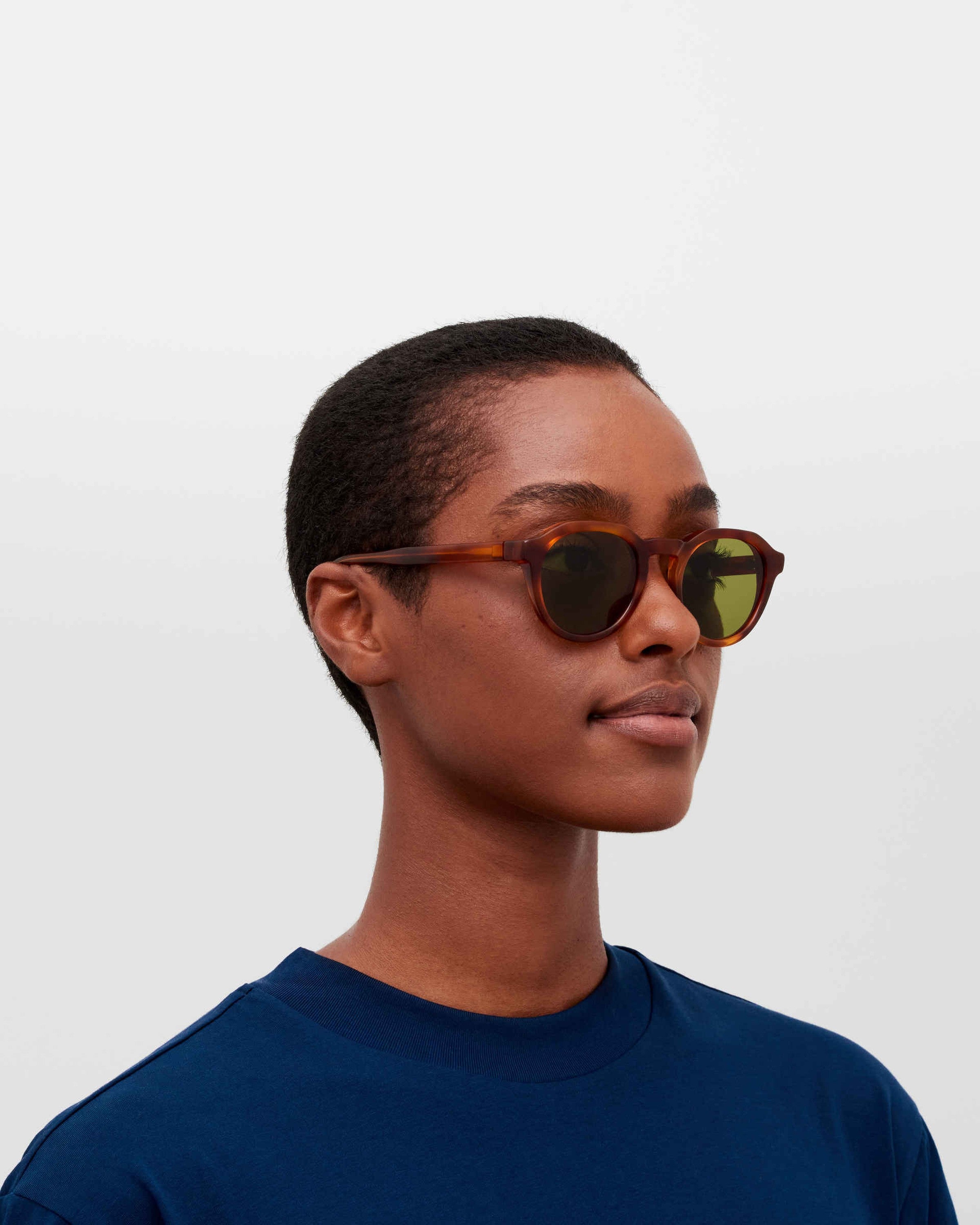 MYKITA KIMBER C214 SOFT HAVANA/SHINY SILVER Soft Havana/Shiny Silver / Euphosgreen Solid