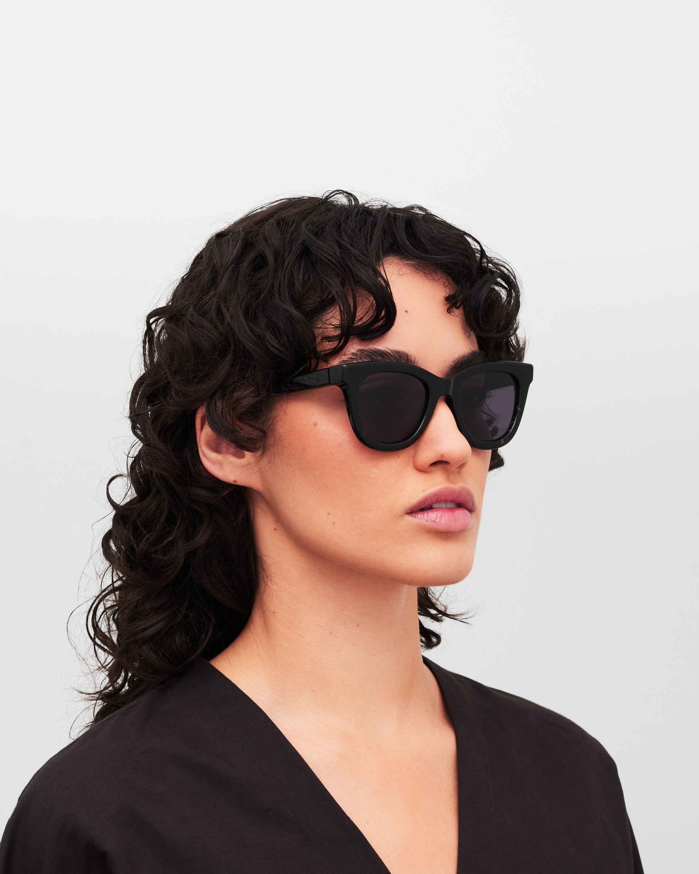 MYKITA LAIMI C110 BLACK HAVANA/SHINY SILVER Black Havana/Shiny Silver / Cool Grey