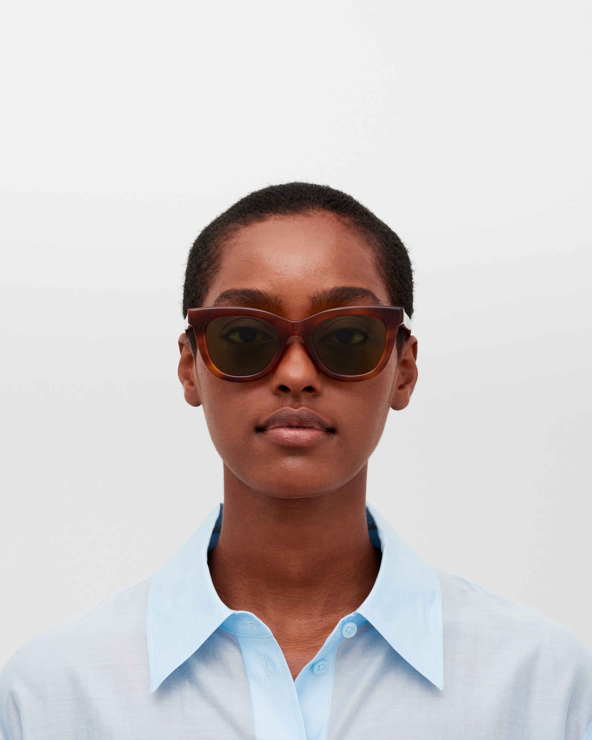 MYKITA LAIMI C214 SOFT HAVANA/SHINY SILVER Soft Havana/Shiny Silver / Euphosgreen Solid