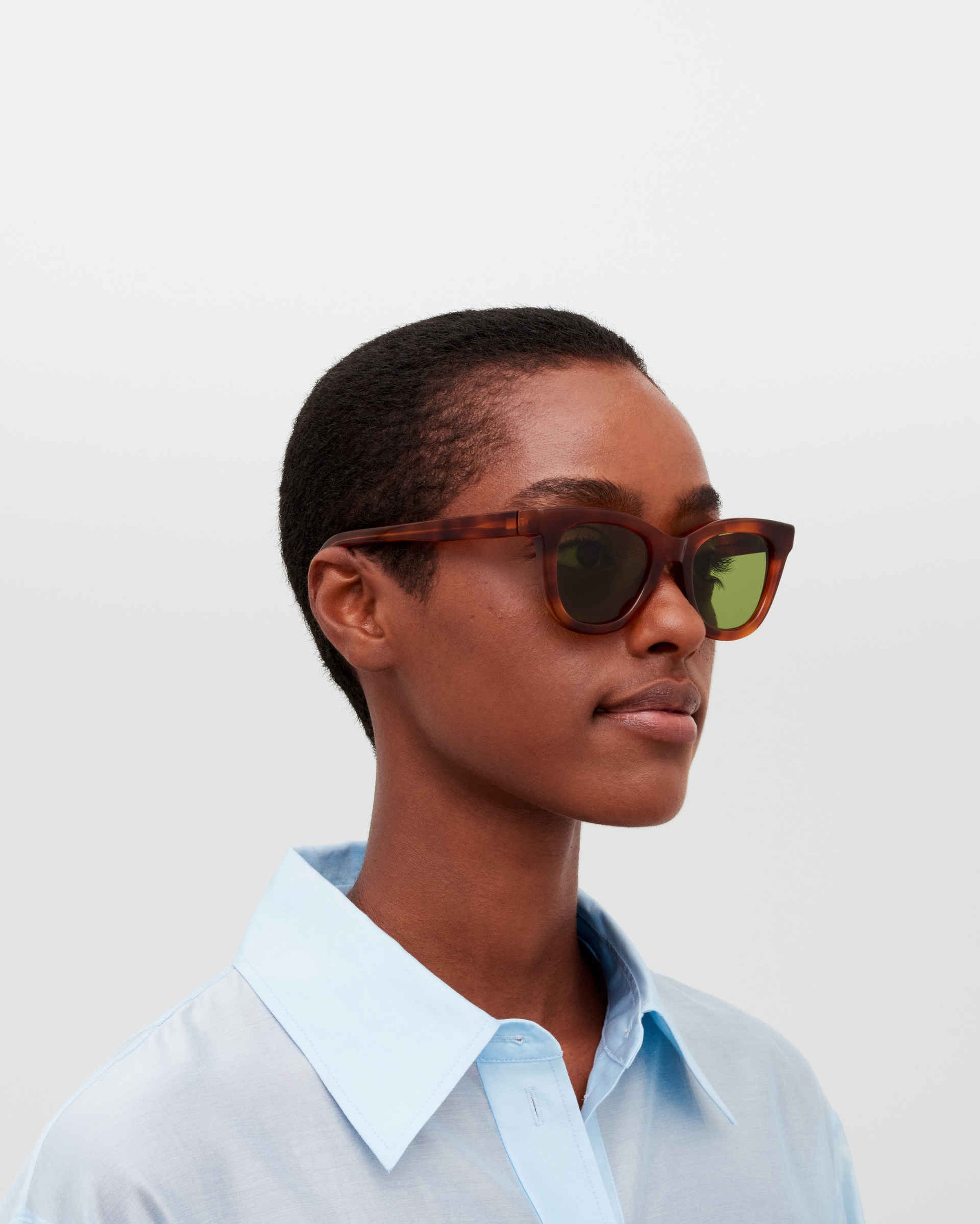 MYKITA LAIMI C214 SOFT HAVANA/SHINY SILVER Soft Havana/Shiny Silver / Euphosgreen Solid