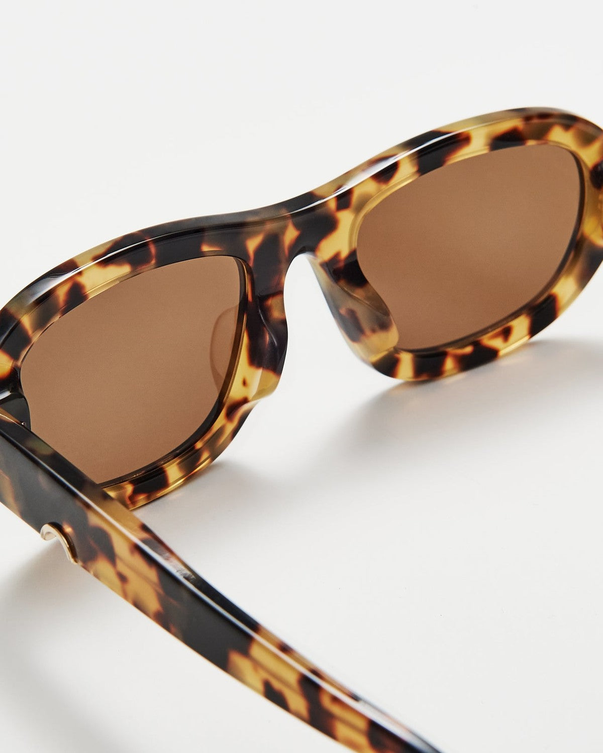 HUMA Lee . Maculate Glossy Havana Maculate / Brown