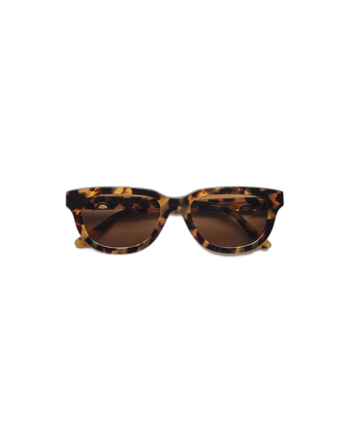 HUMA Lion . Maculate Glossy Havana Maculate / Brown