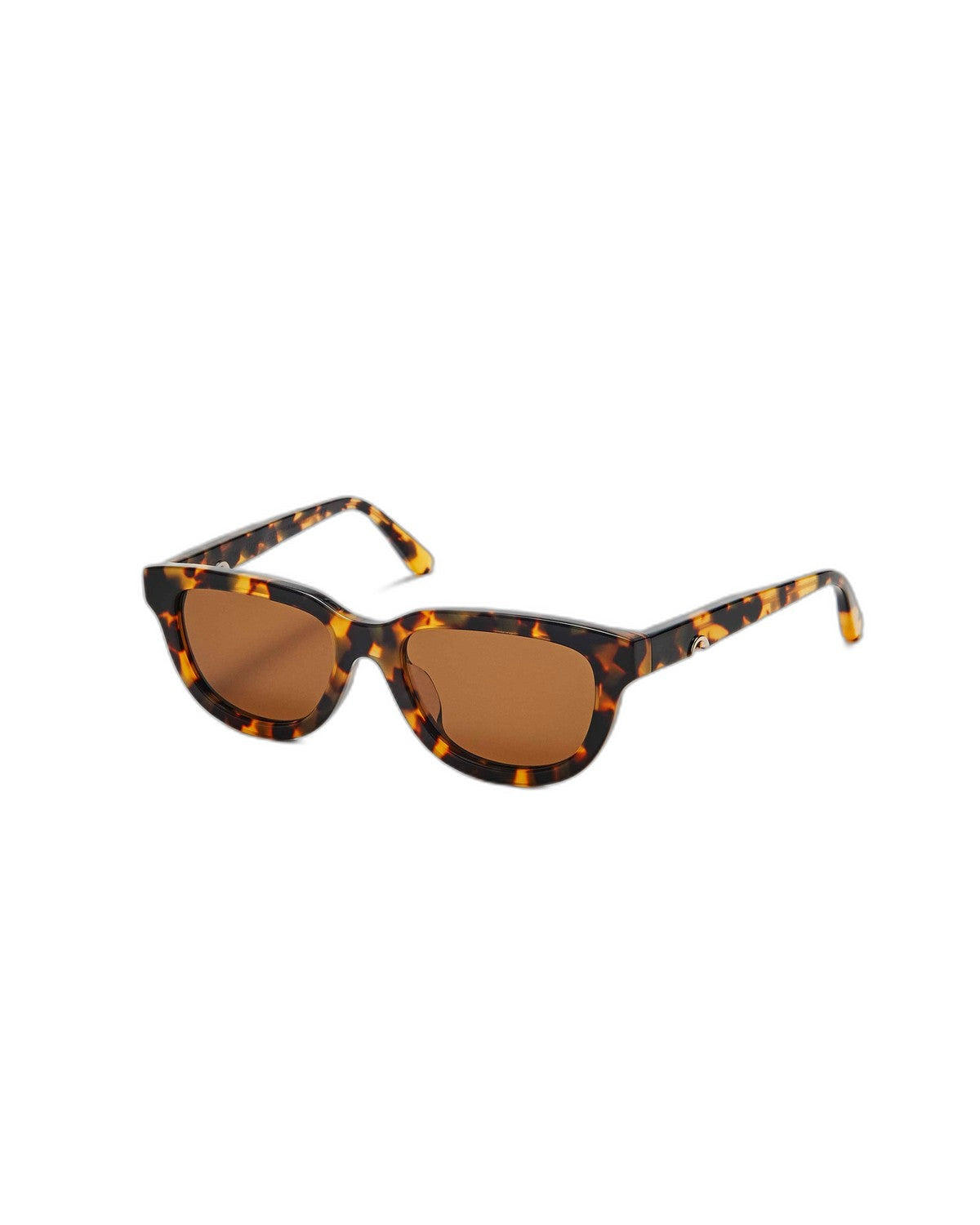 HUMA Lion . Maculate Glossy Havana Maculate / Brown