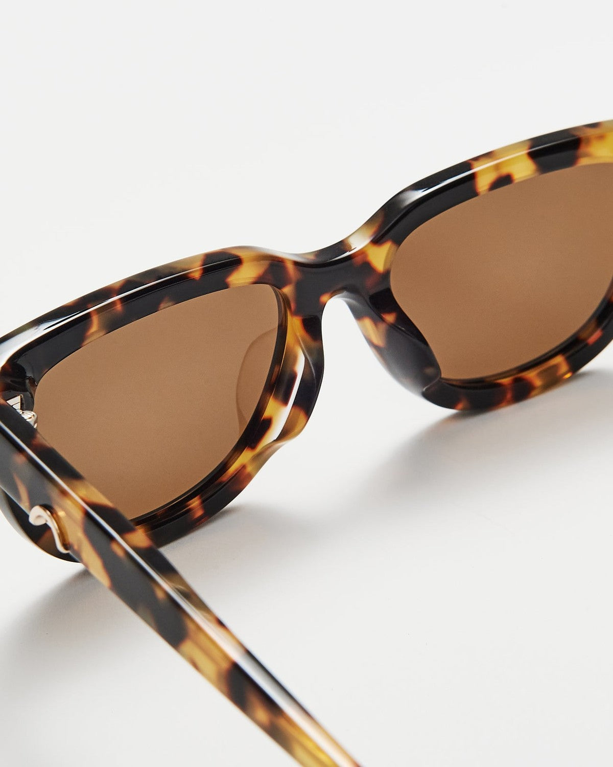 HUMA Lion . Maculate Glossy Havana Maculate / Brown
