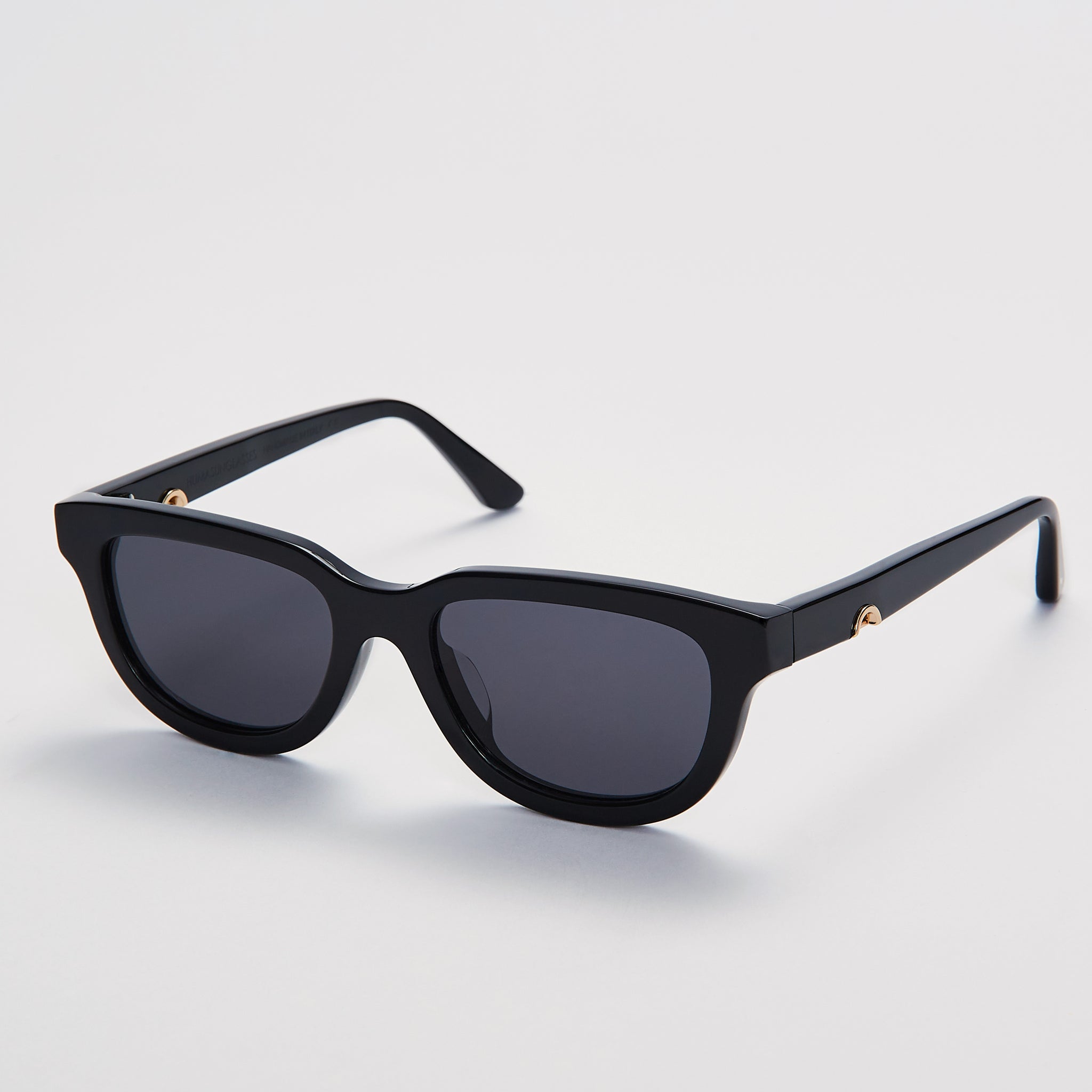 Lion . Black
