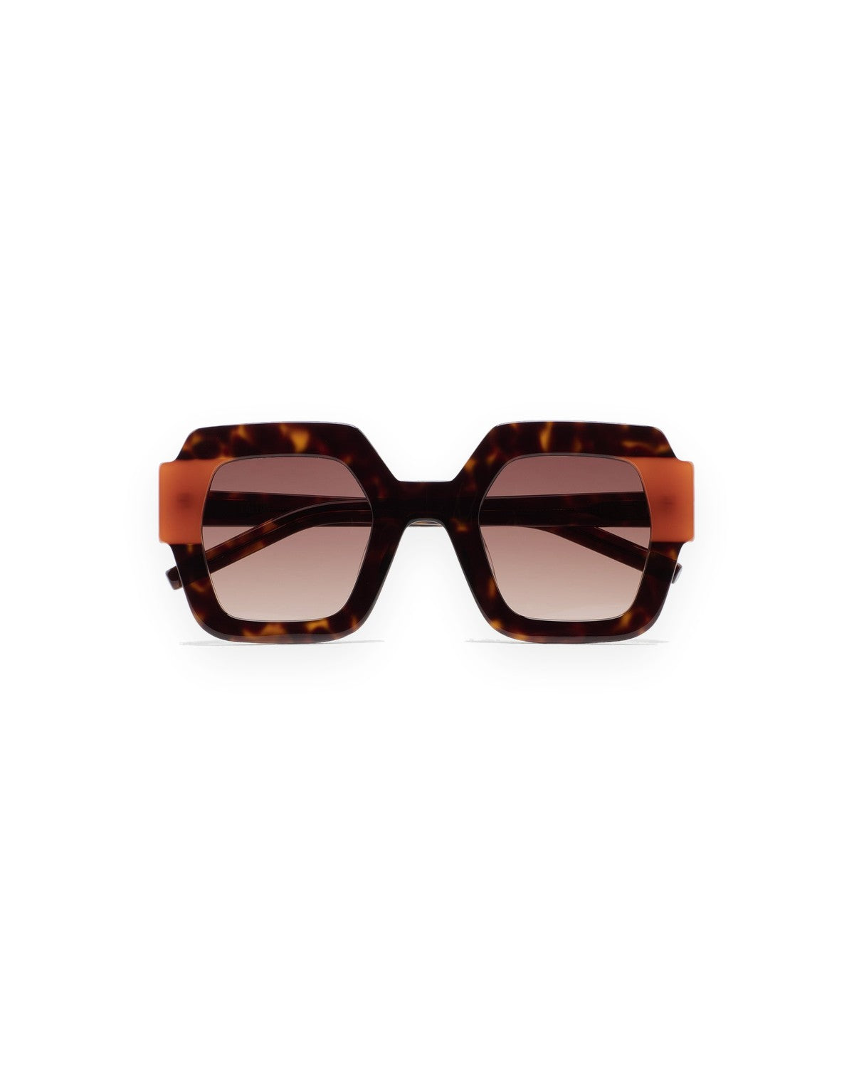 KALEOS Lupoli Dark Havana Brown Degrade Dark Havana / Brown Degrade