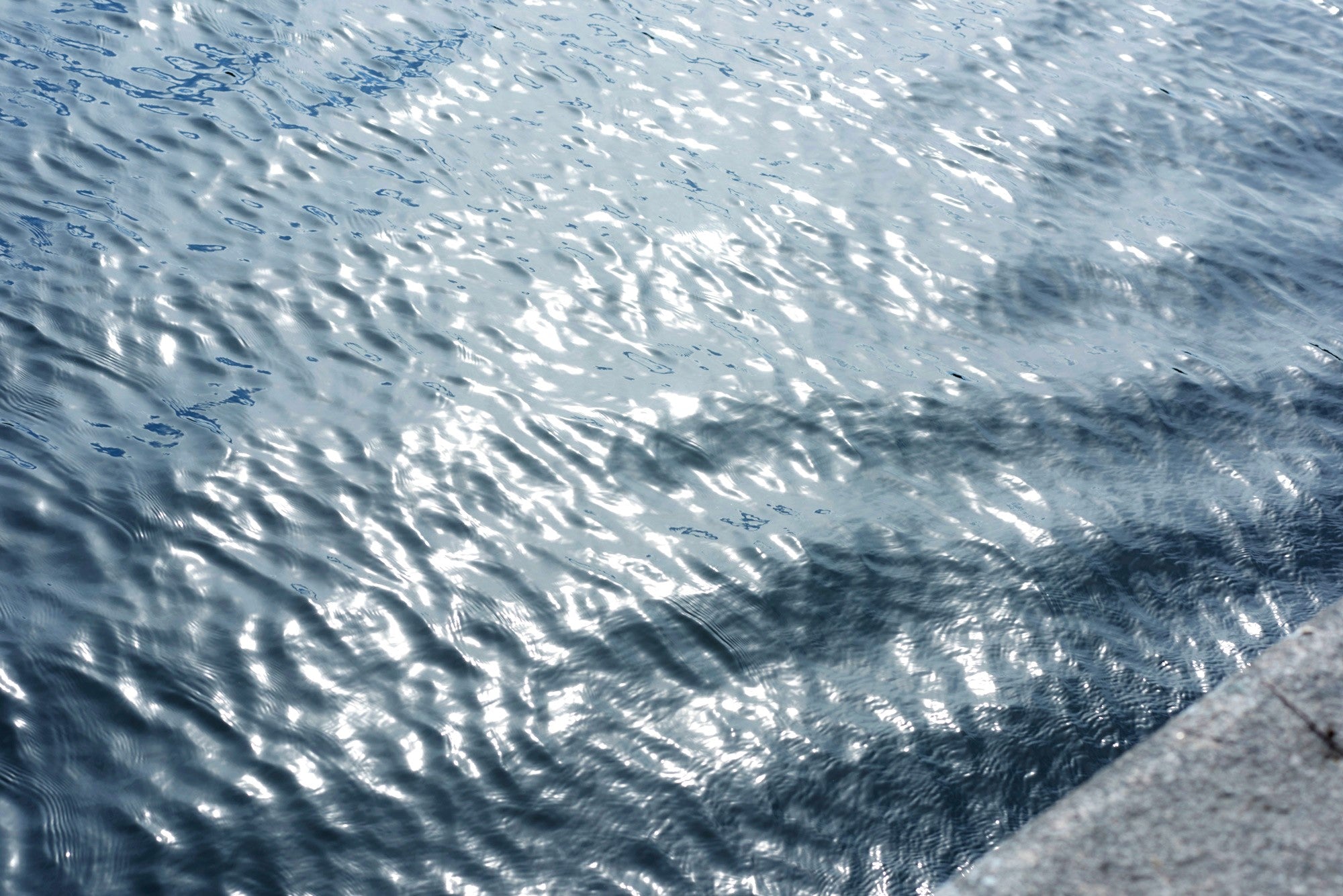 MYKITA HOLM C99 Brown Dark Brown/Glossy Go / Polarized Pro Green 15