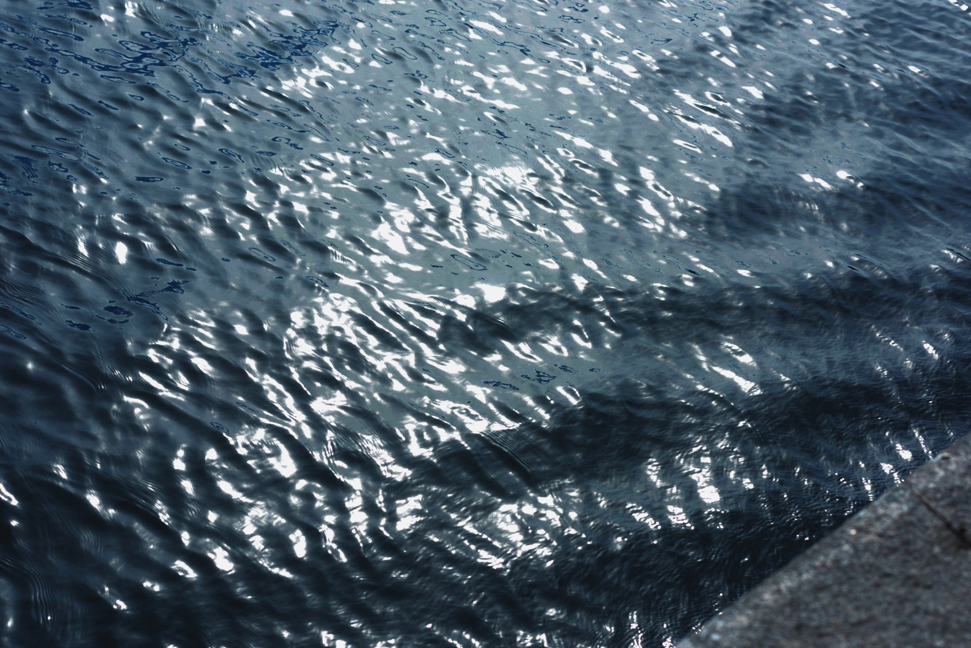 MYKITA HOLM C9 Santiago Gradient/Shiny Gra / Polarized Pro Amber Brown