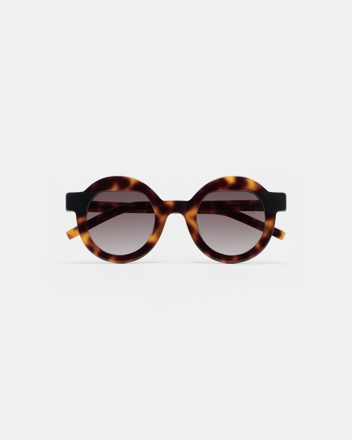 KALEOS Pollitt II Havana Grey Gradient Havana / Grey Gradient