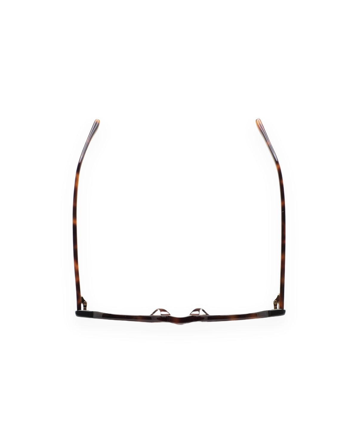 KALEOS Pollitt II Havana Grey Gradient Havana / Grey Gradient
