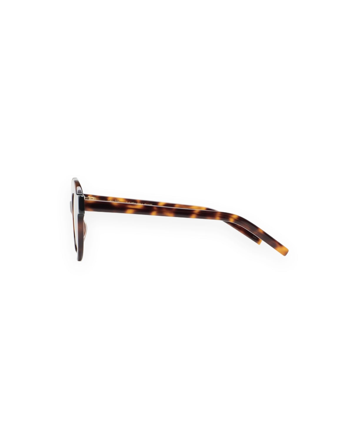 KALEOS Pollitt II Havana Grey Gradient Havana / Grey Gradient