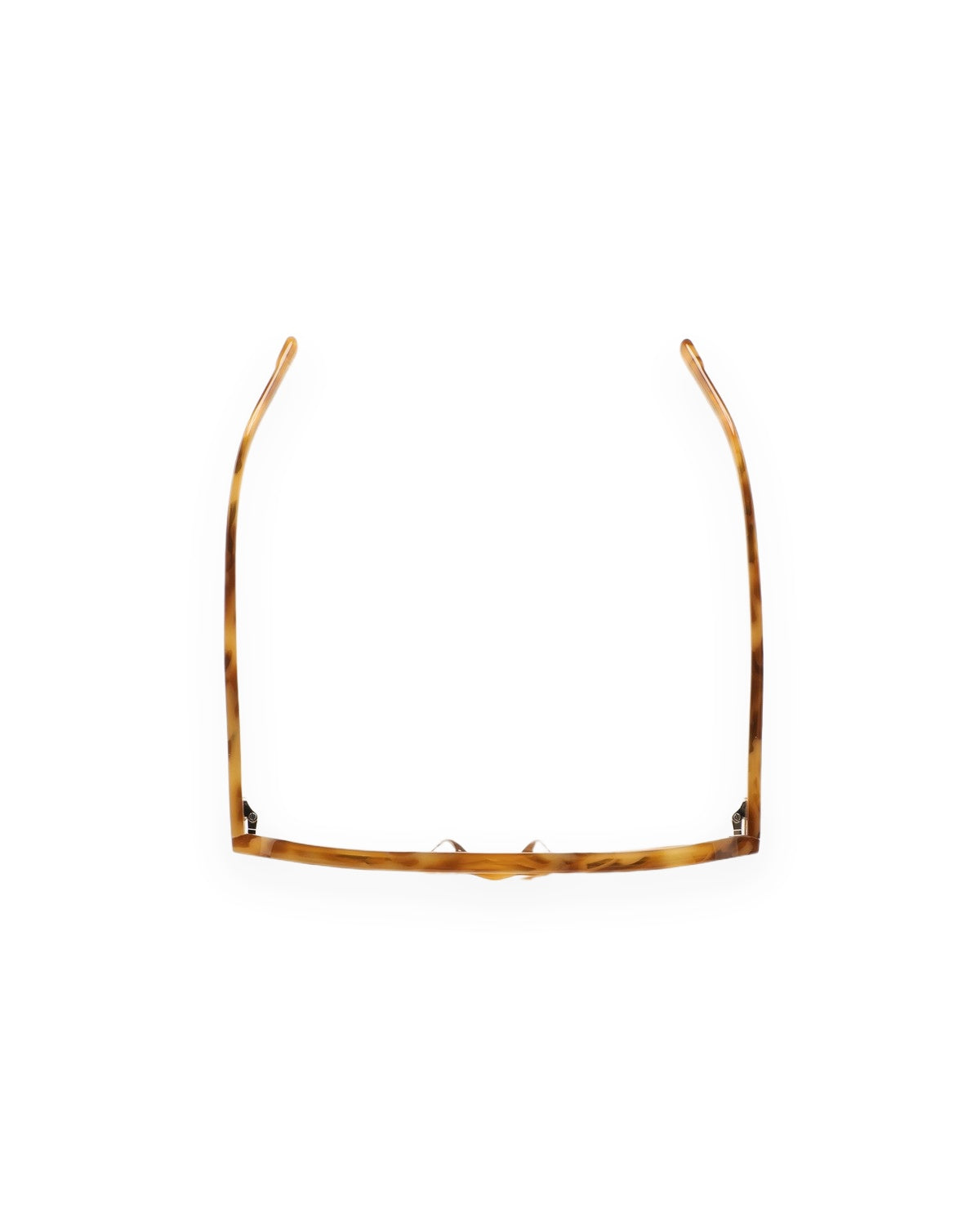 KALEOS Remis Amber Havana Dark Green Amber Havana / Dark Green