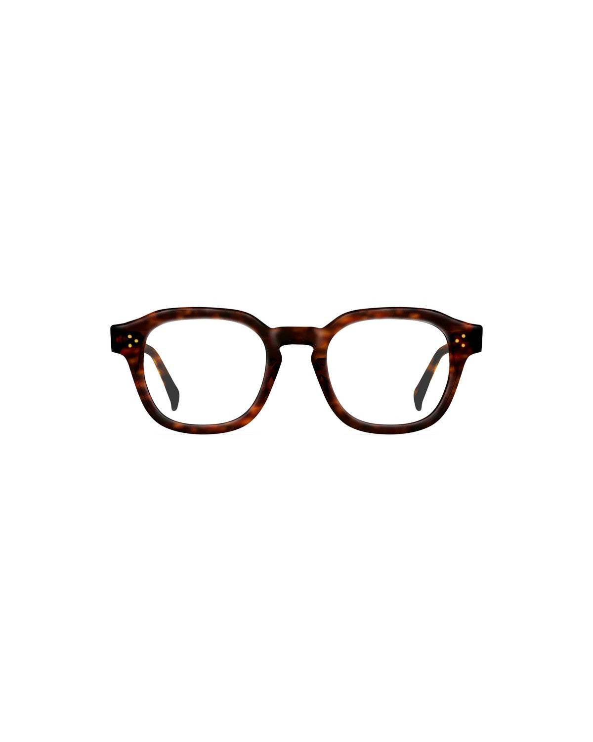 RAEN Rilko 48 Kola Tortoise Clear Kola Tortoise / Clear
