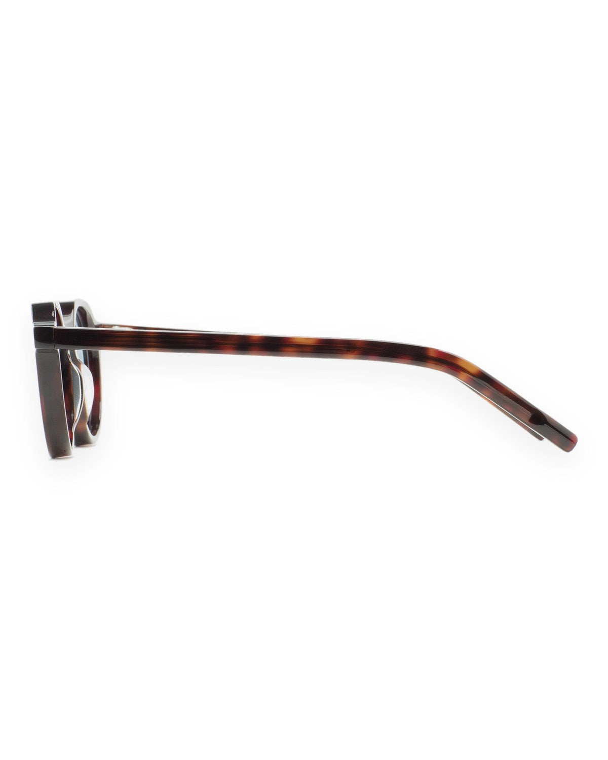 Side profile of KALEOS Scott Dark Havana Blue sunglasses showing the temple and havana pattern.