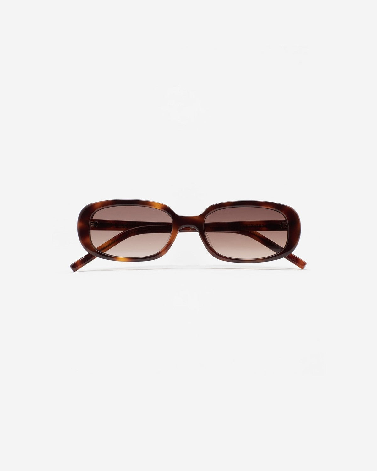 KALEOS Stirling Havana Brown Gradient Havana / Brown Gradient
