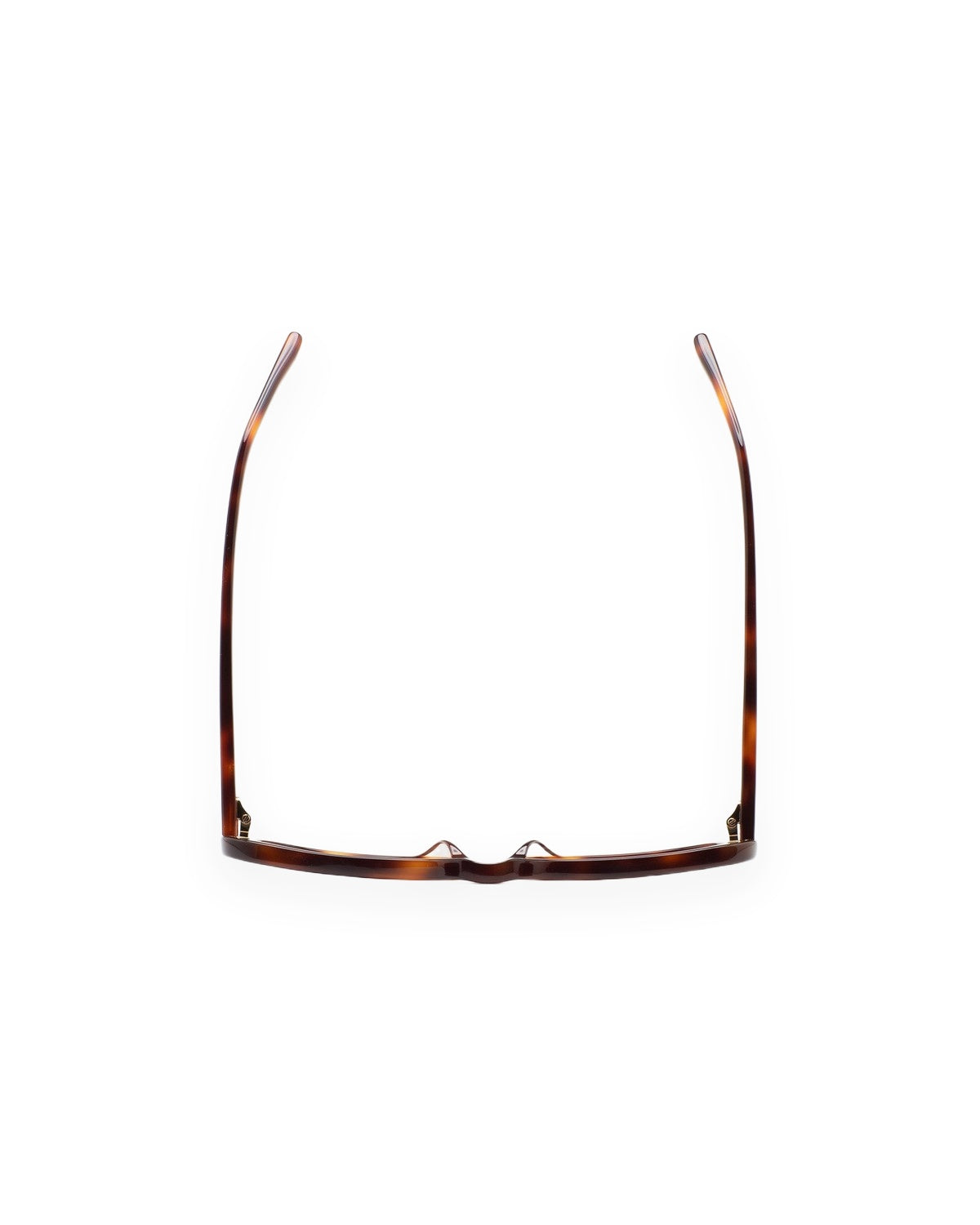 KALEOS Stirling Havana Brown Gradient Havana / Brown Gradient
