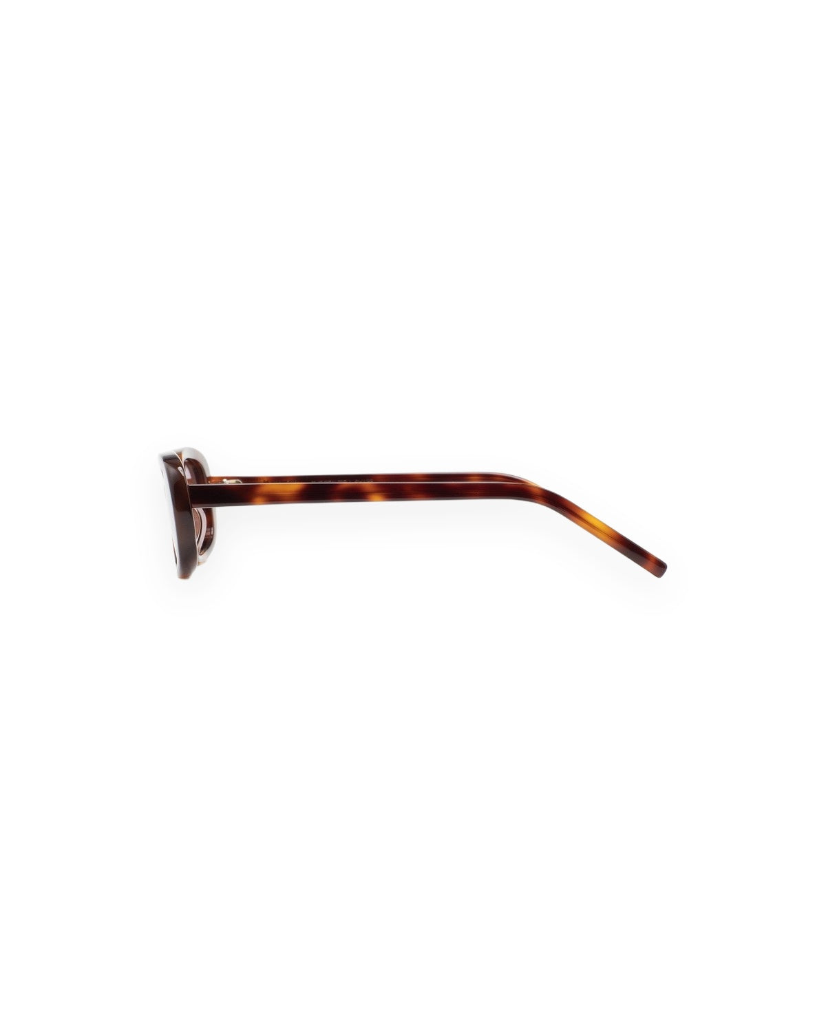 KALEOS Stirling Havana Brown Gradient Havana / Brown Gradient