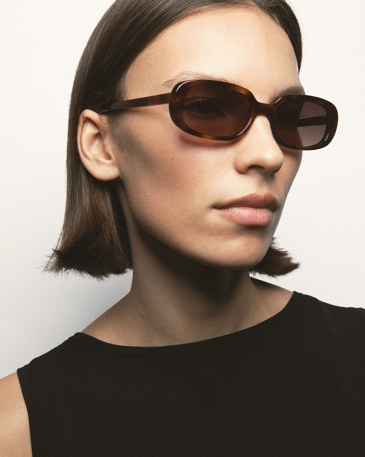 KALEOS Stirling Havana Brown Gradient Havana / Brown Gradient