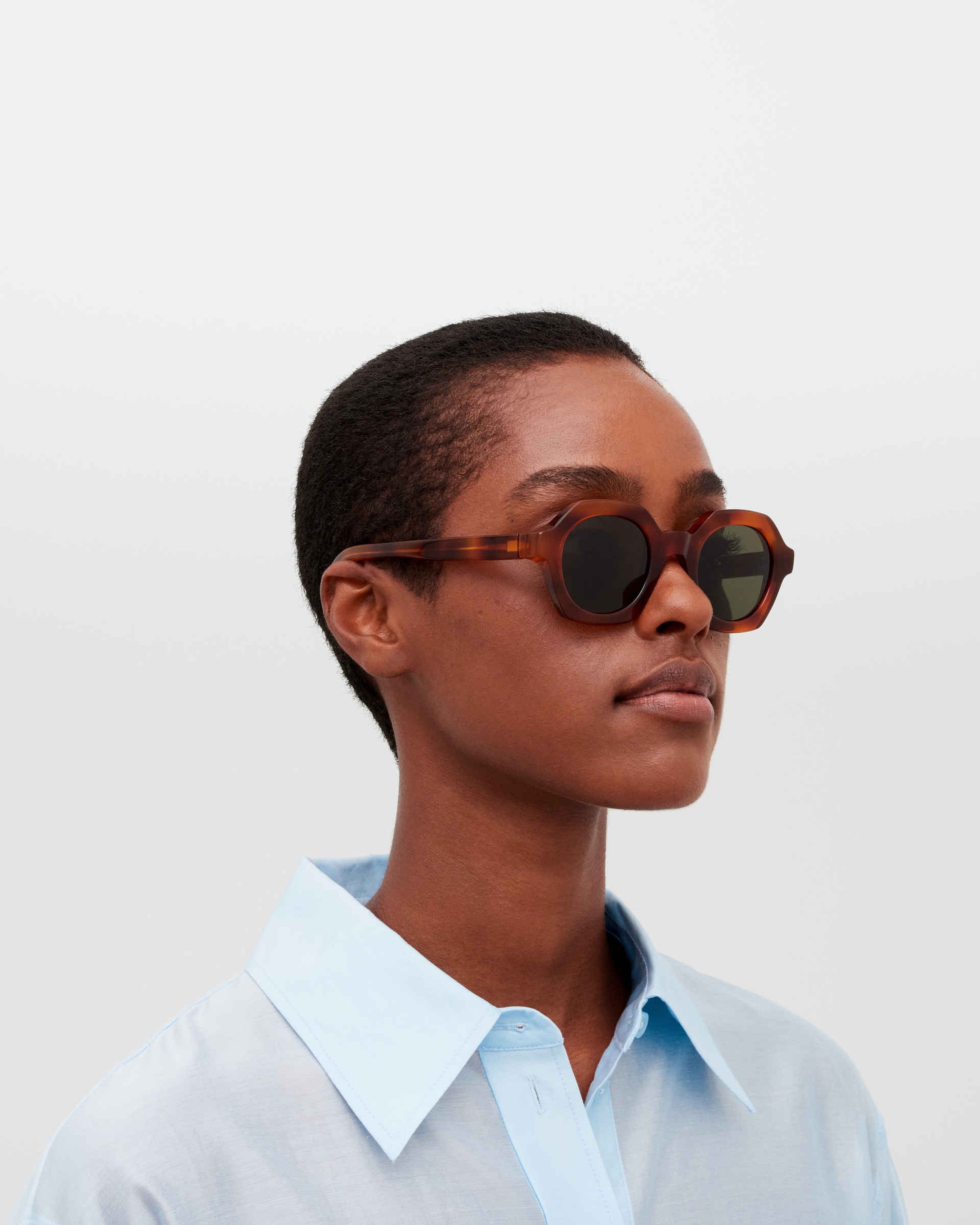 MYKITA TESHI C214 SOFT HAVANA/SHINY SILVER Soft Havana/Shiny Silver / Rawgreen Solid