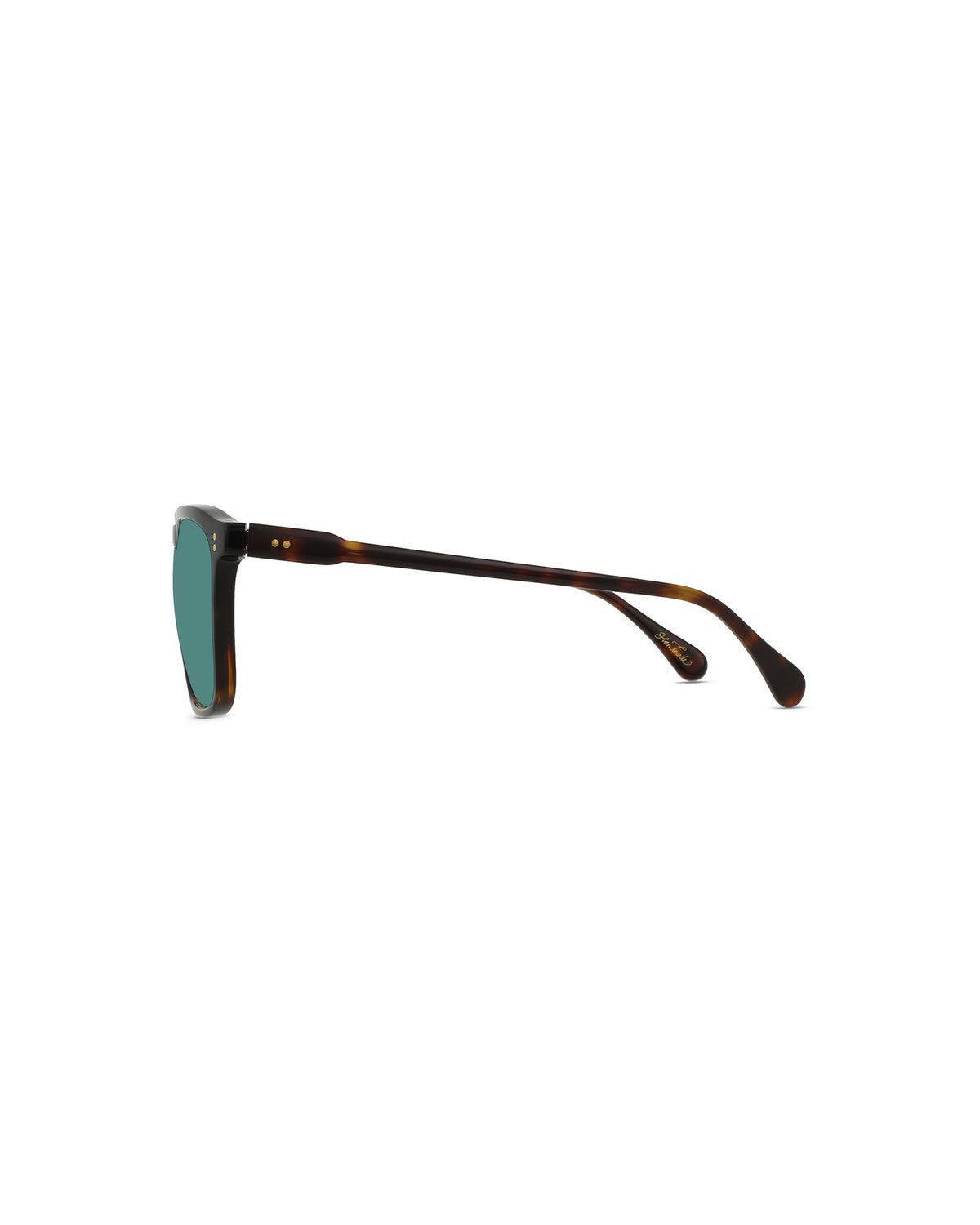 RAEN Wiley 56 Kola Tortoise Pacifica Kola Tortoise / Pacifica