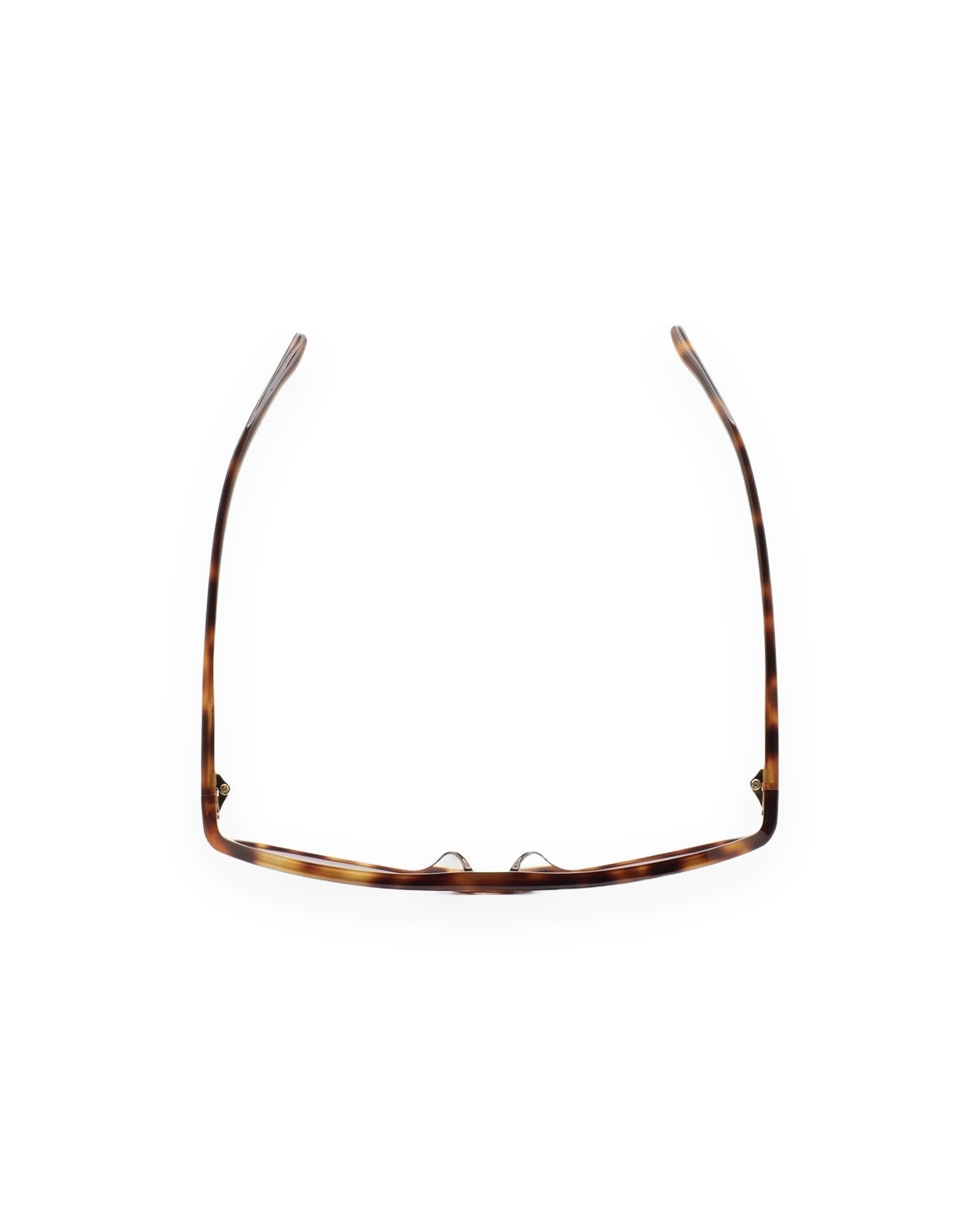 KALEOS Withers Havana Dark Blue Gradient Havana / Dark Blue Gradient